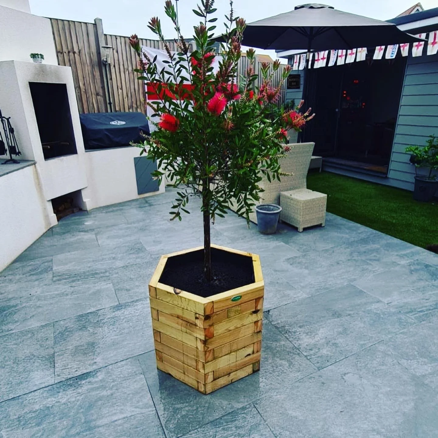 Potted flowering tree with pink and red flowers on a patio with gray stone flooring, outdoor furniture, a black umbrella, and a barbecue grill in a backyard.