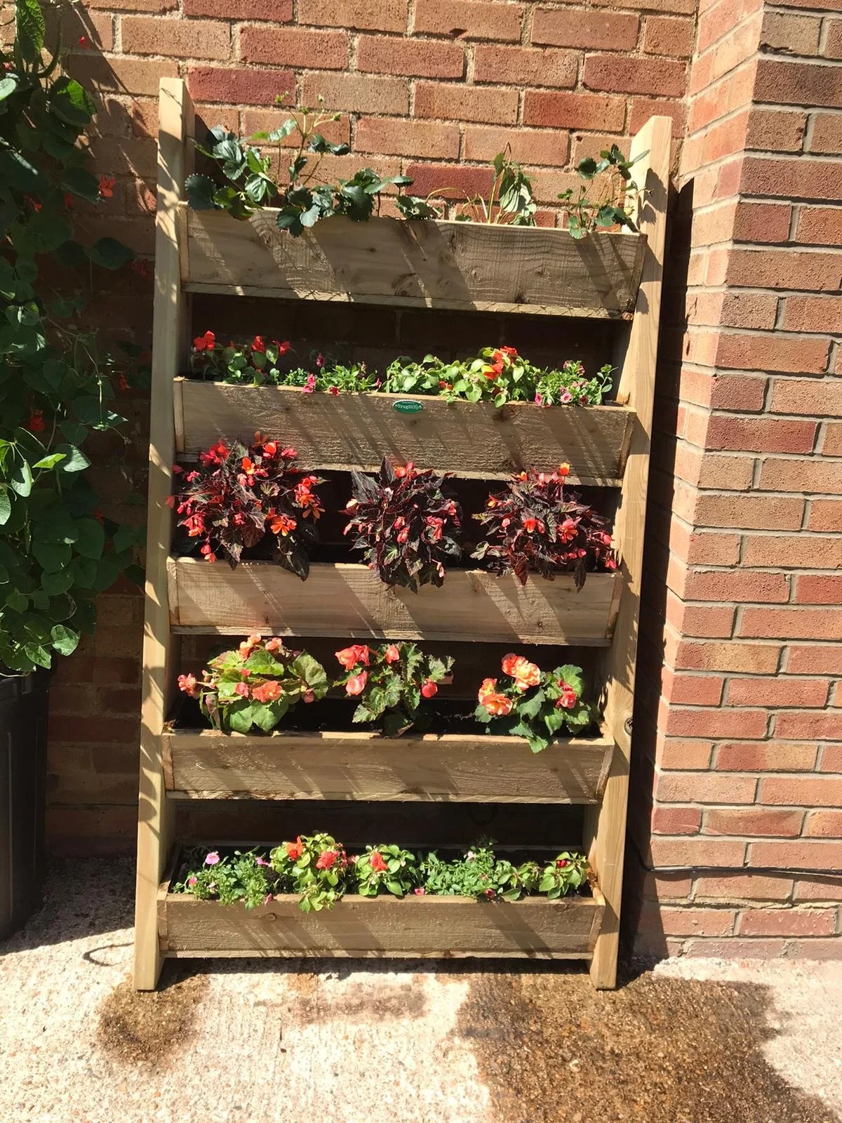 Wooden vertical garden with five tiers of flowering plants against a brick wall, with some greenery seen at the top left.