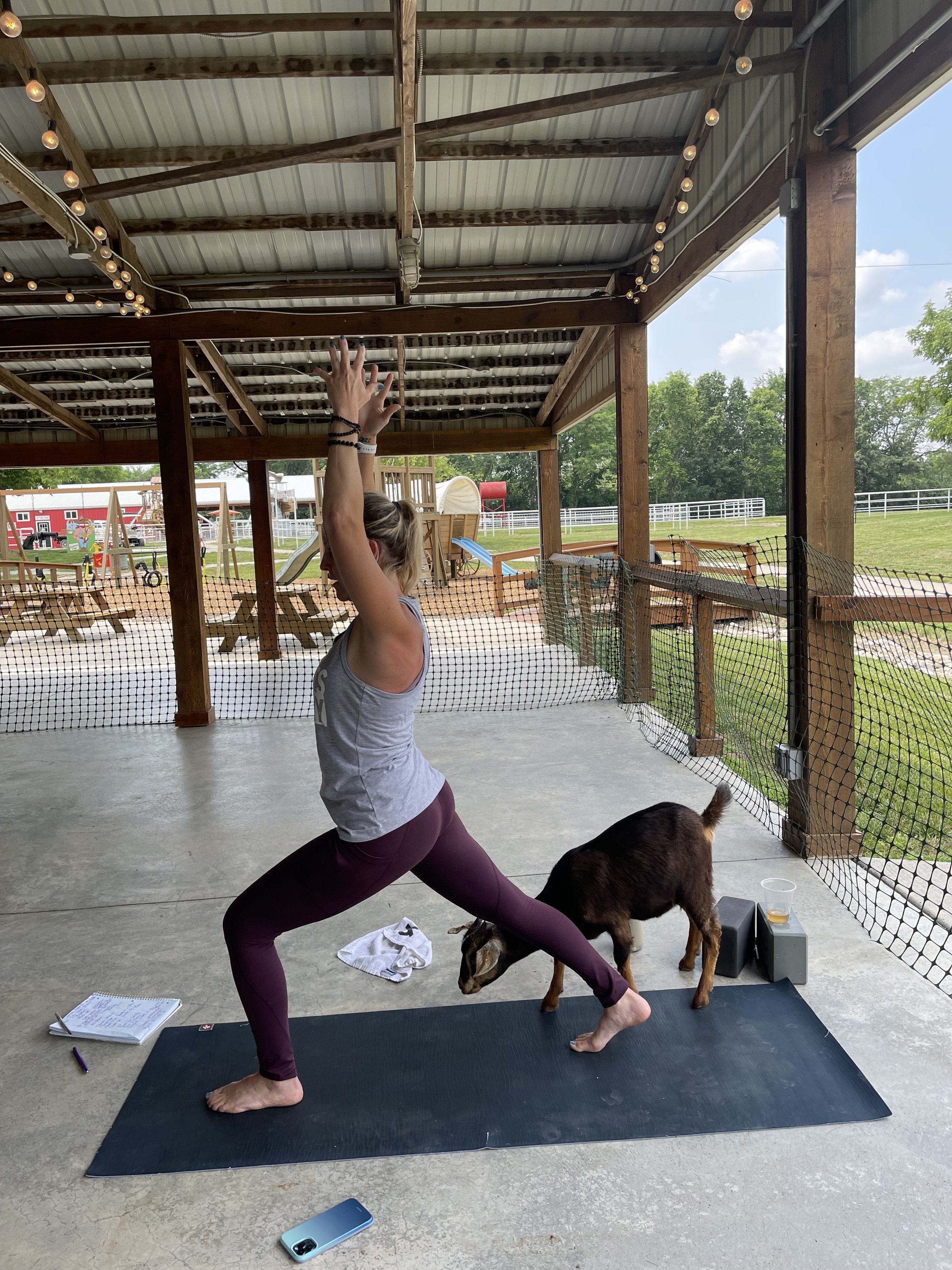 Goat Yoga in Kansas City, MO