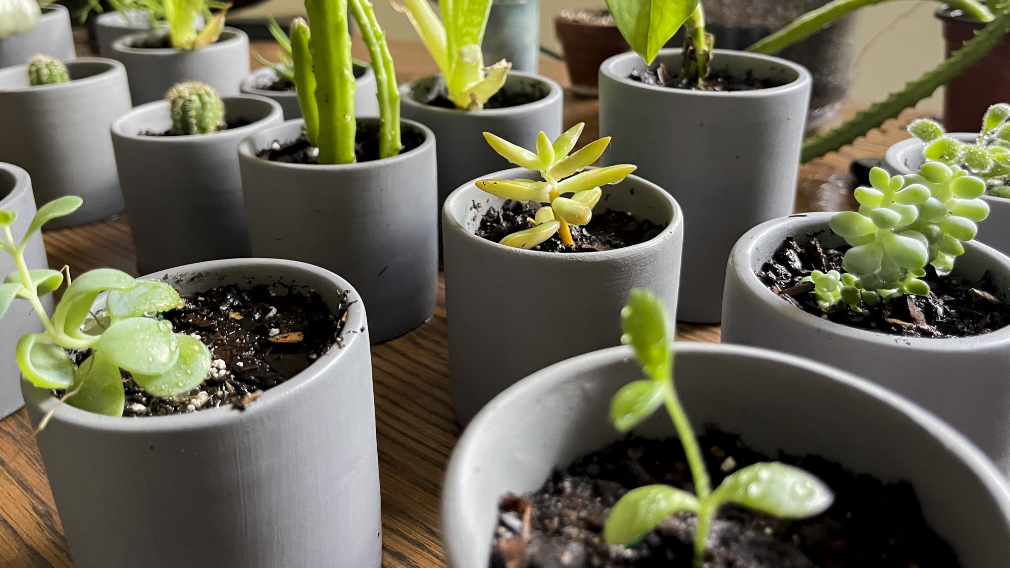 Studio Ember Custom Order Examples-1.jpg