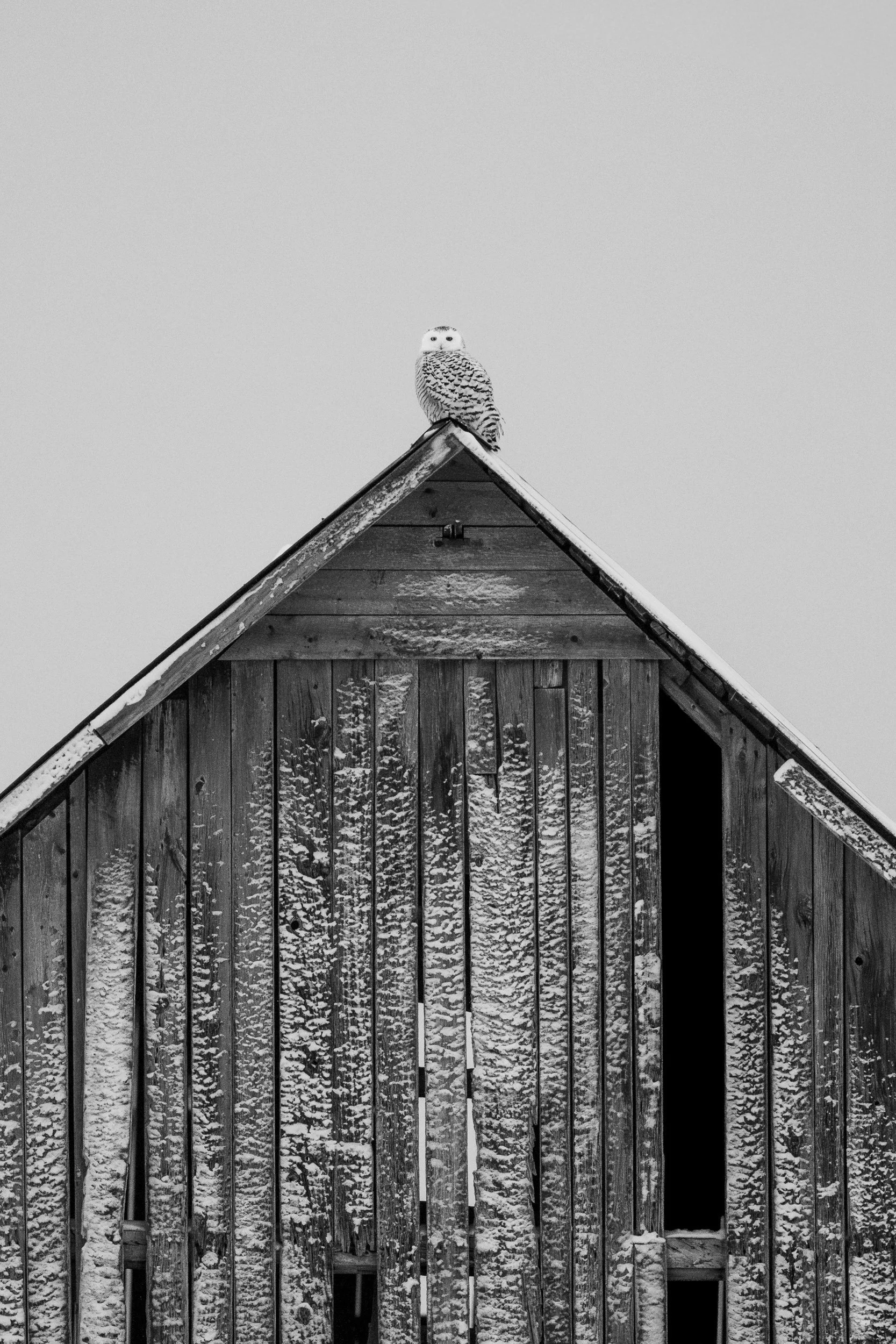 _N5A2465-2.jpg