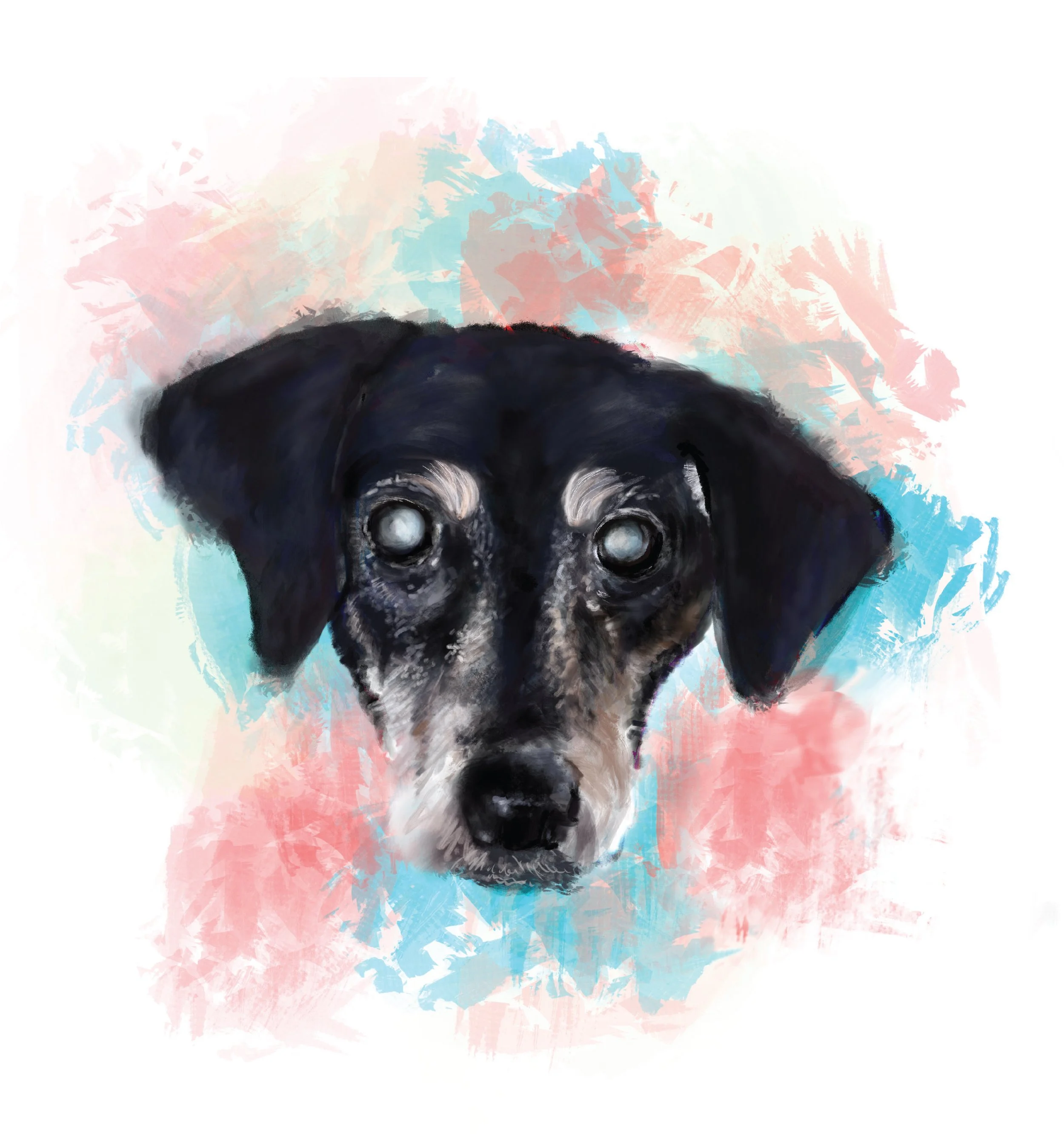 Odie_Pup Commission_8.5x11.jpg