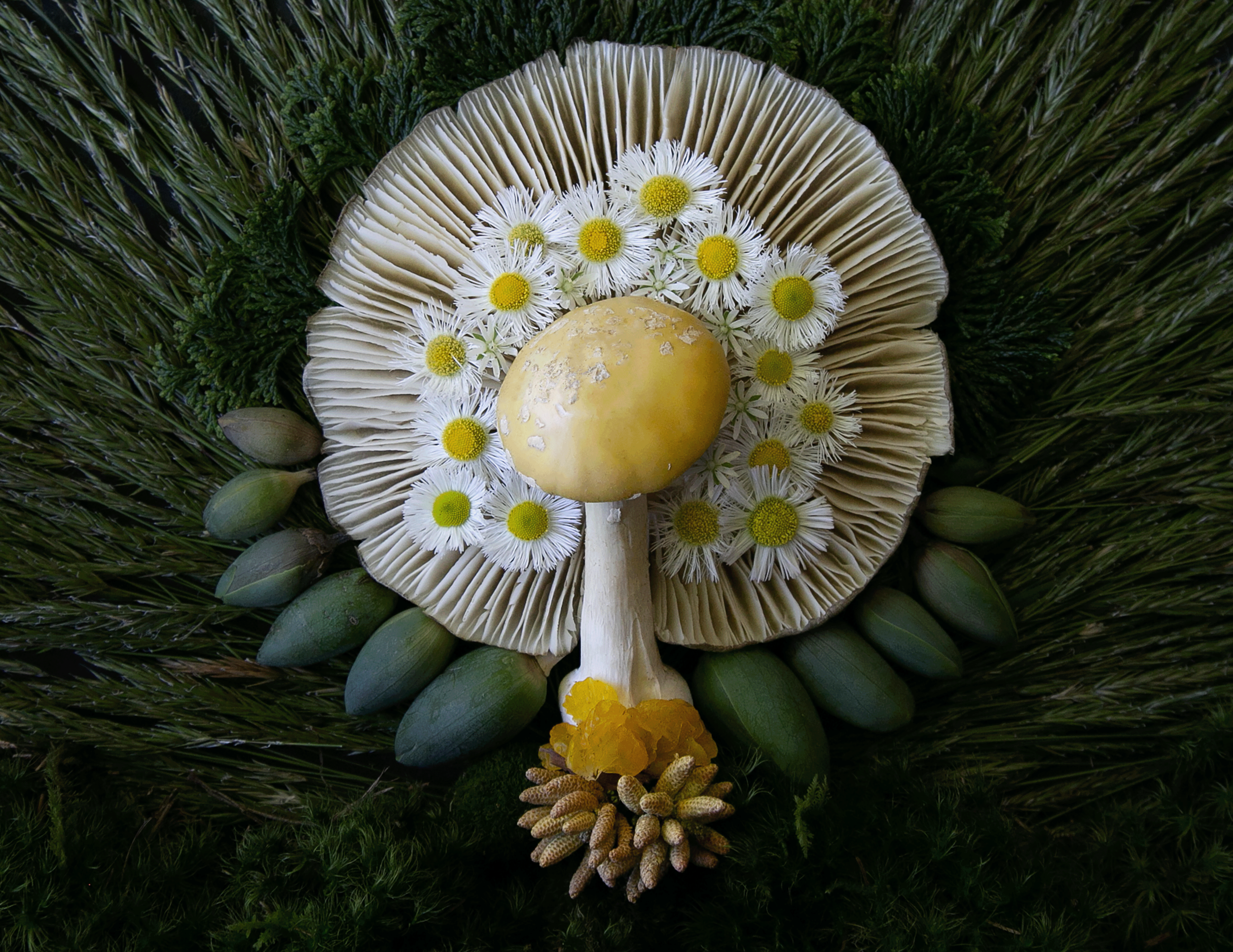 Mushroom Brush – Earth & Nest