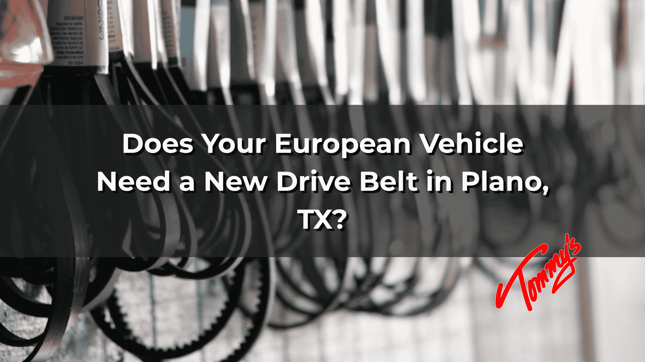 Does Your European Vehicle Need a New Drive Belt in Plano, TX?