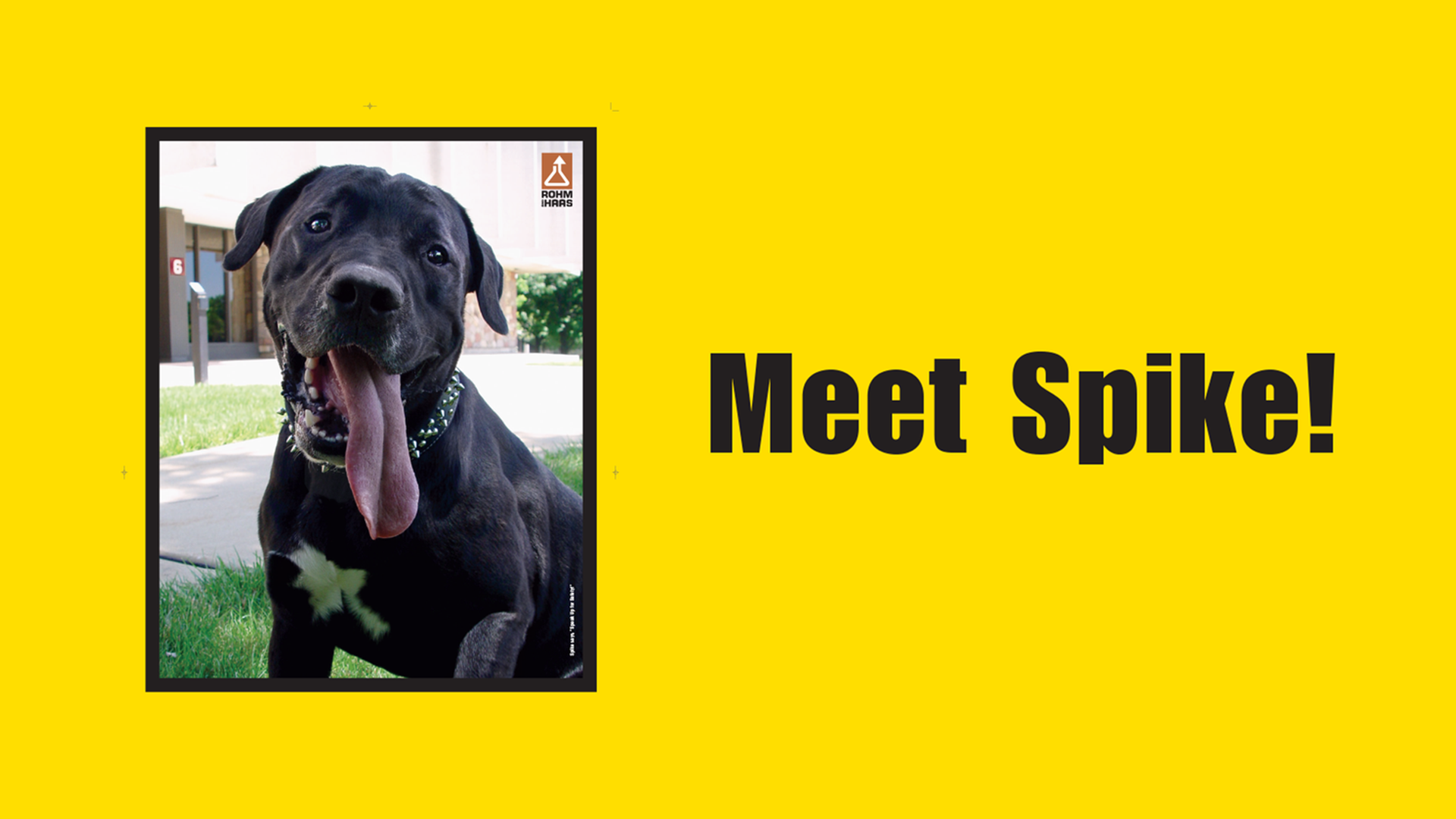 Meet Spike the Safety Dog – The Campaign That Made Safety Conversations Easier