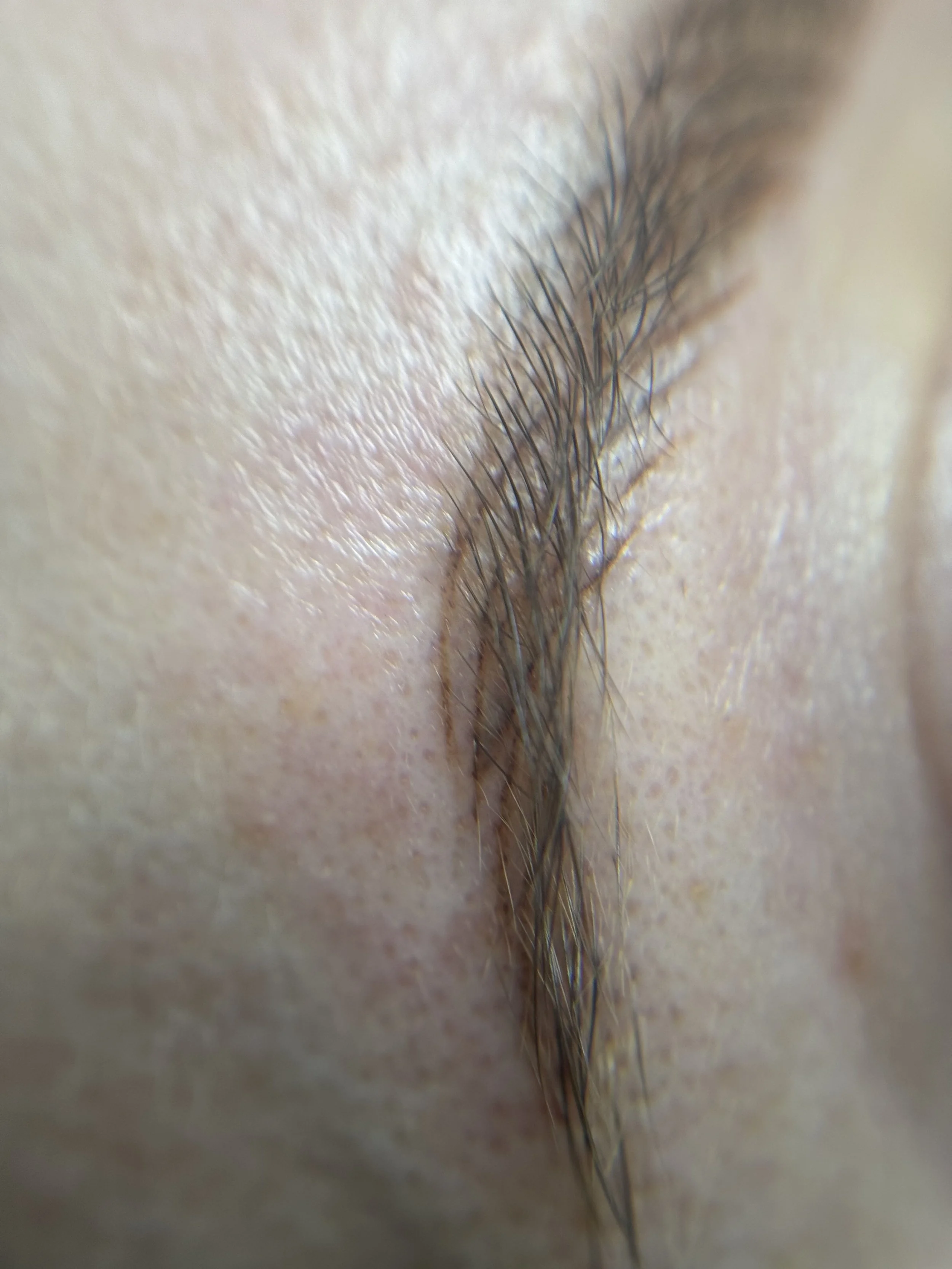 closeup nano.jpg