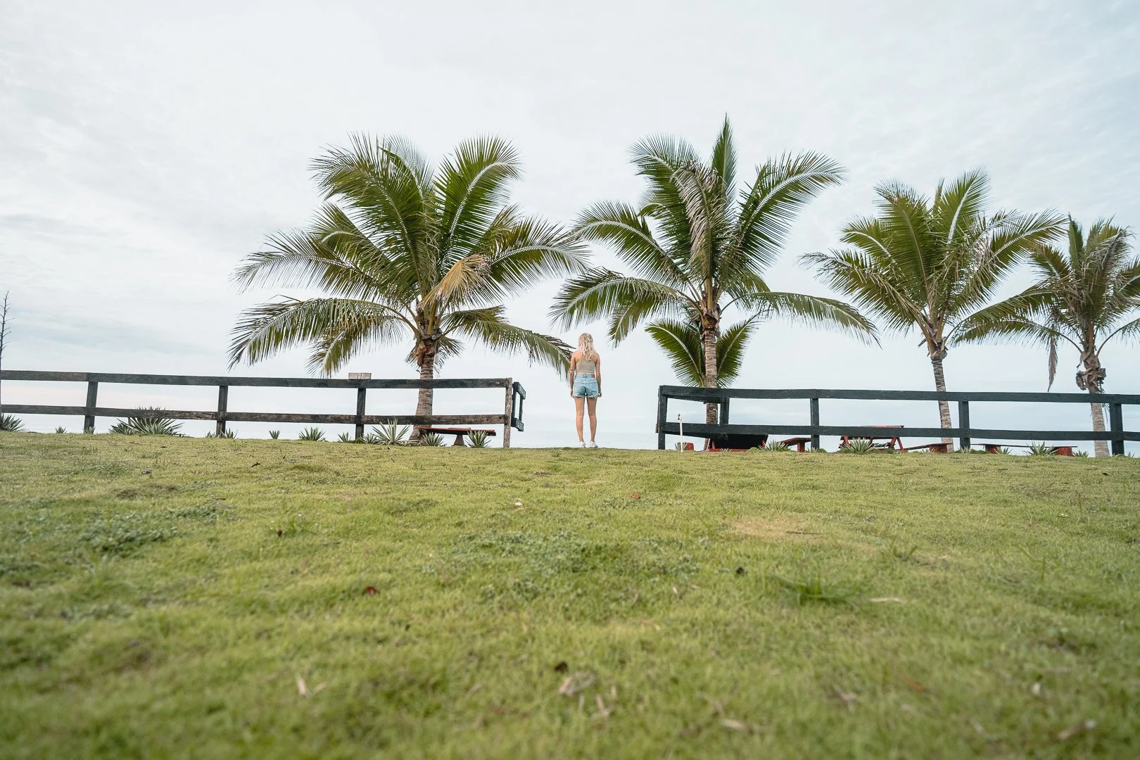 Copia de Panama-2.jpg