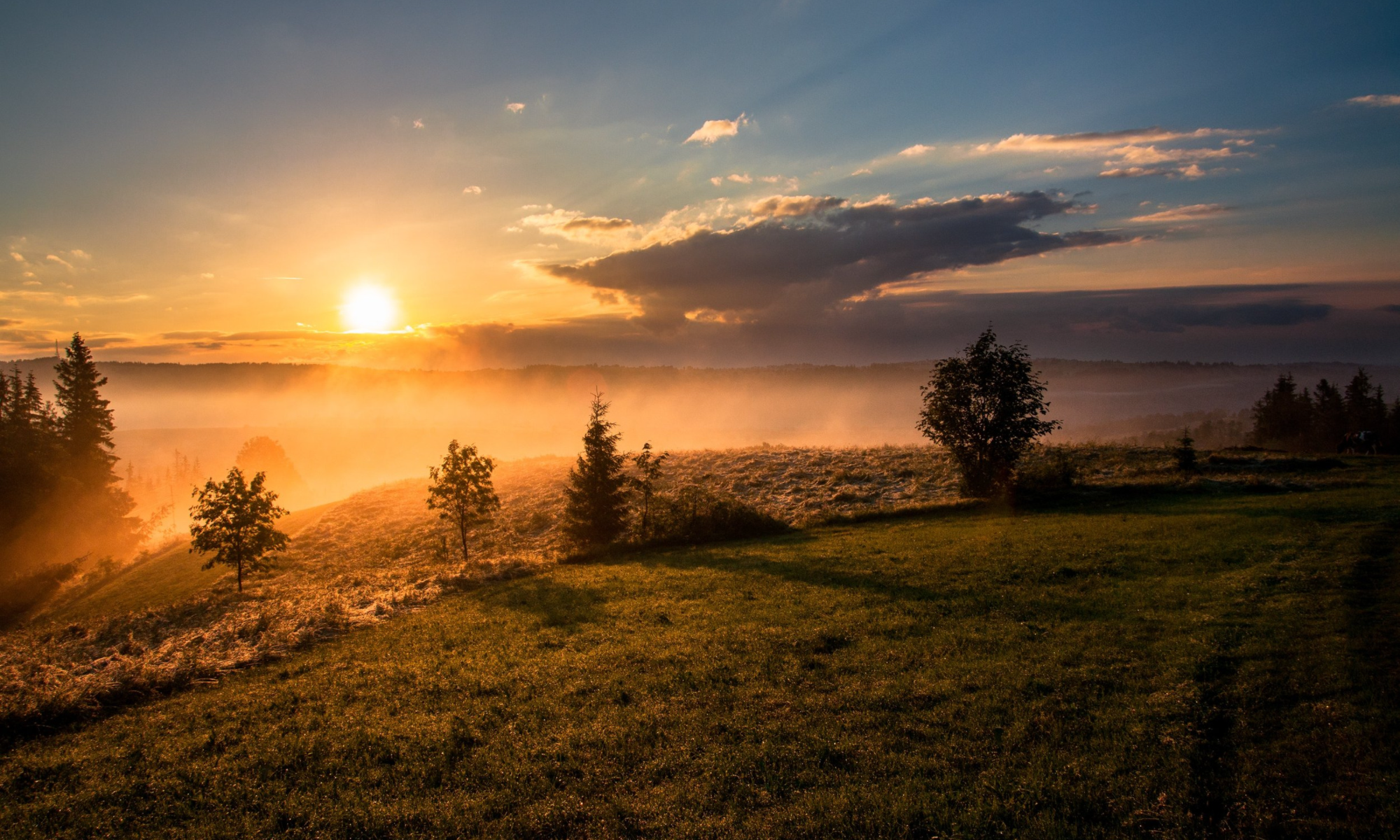 The art of powerful calling and guiding questions