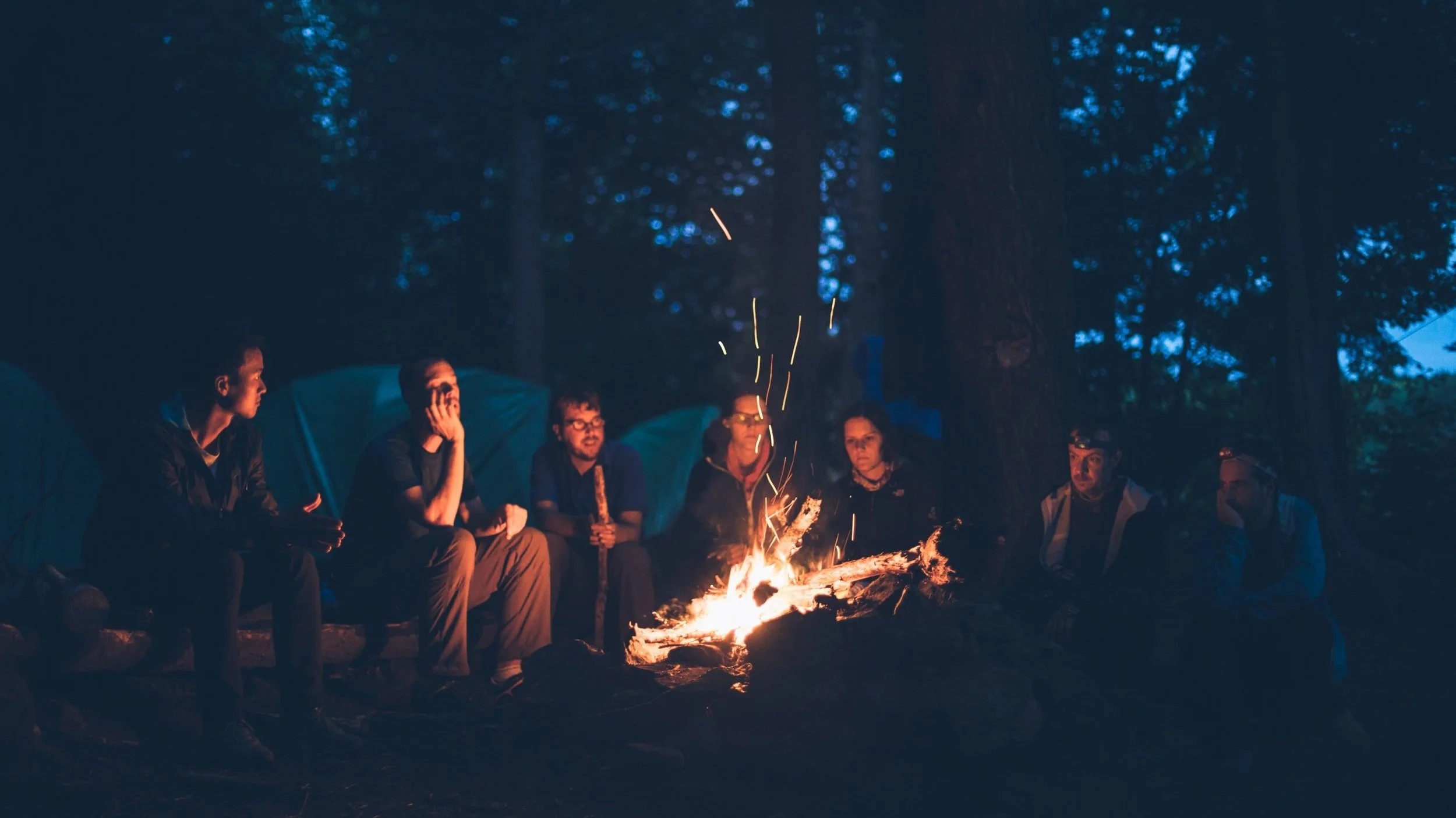 Storytelling for a Regenerative Future