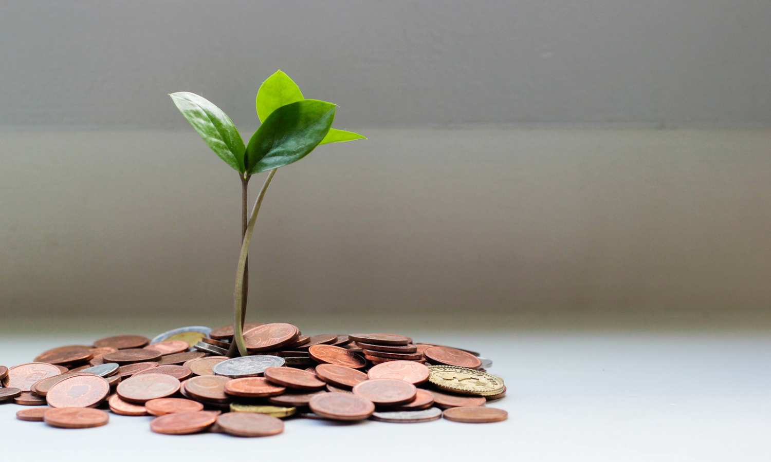Funding Systems Change