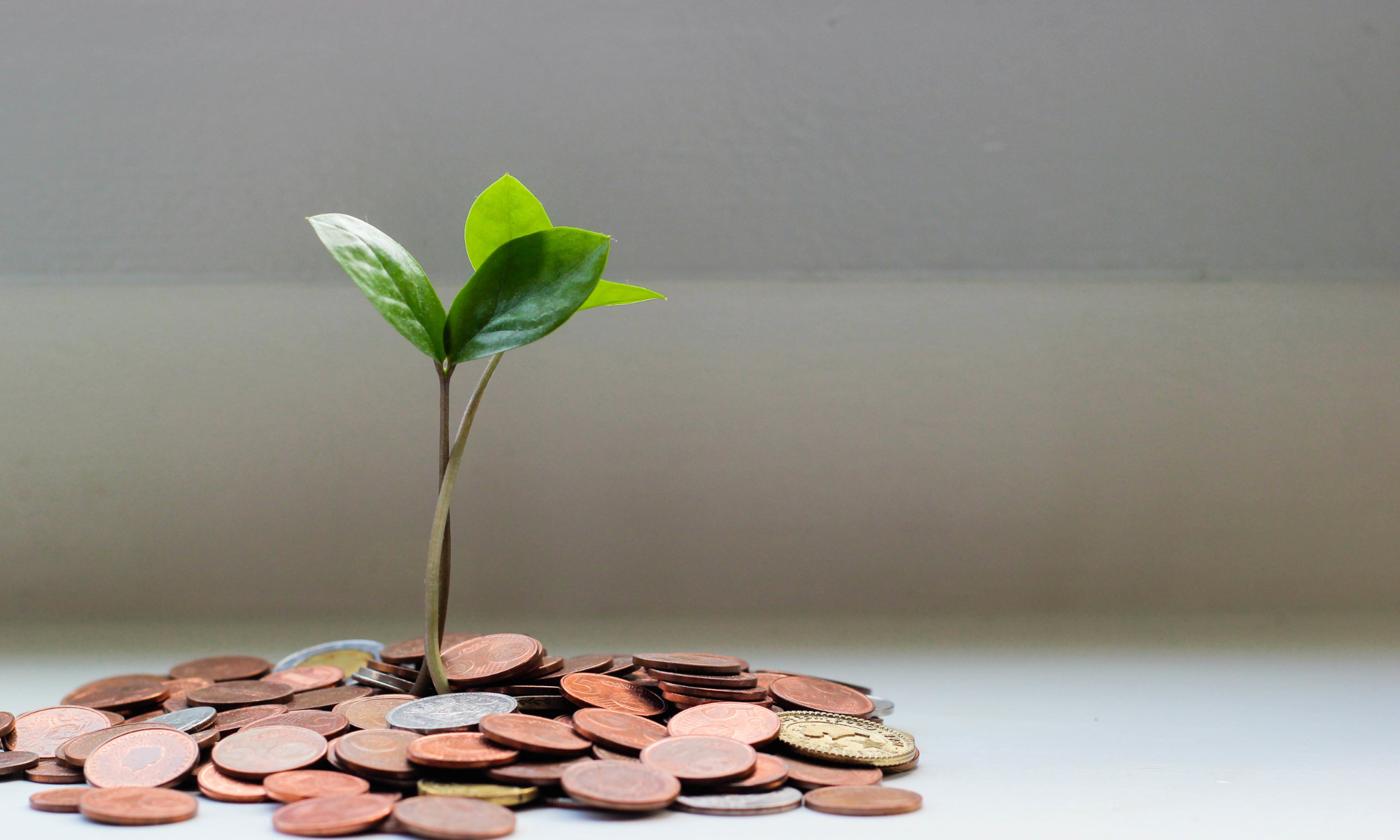 Funding Systems Change Initiative