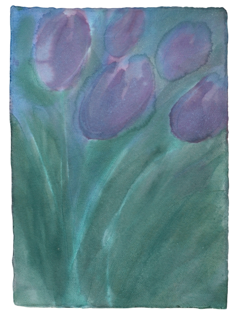 Tulips 6.png