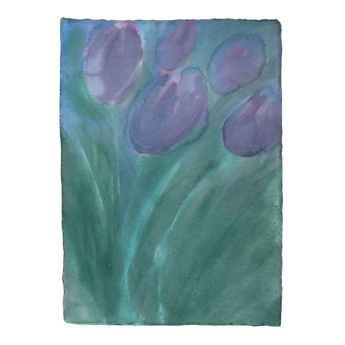 Tulips VI