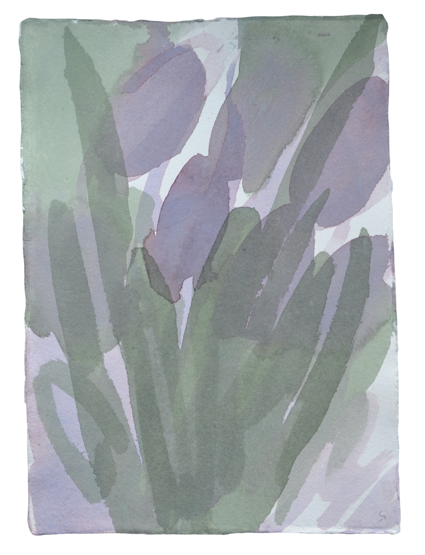Tulips 5.png