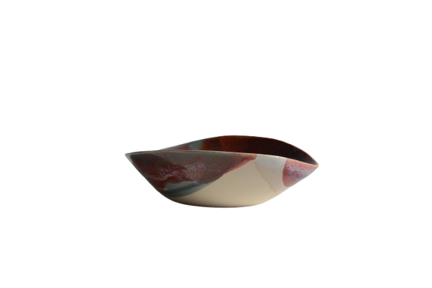 DSC_0195-removebg-preview.png
