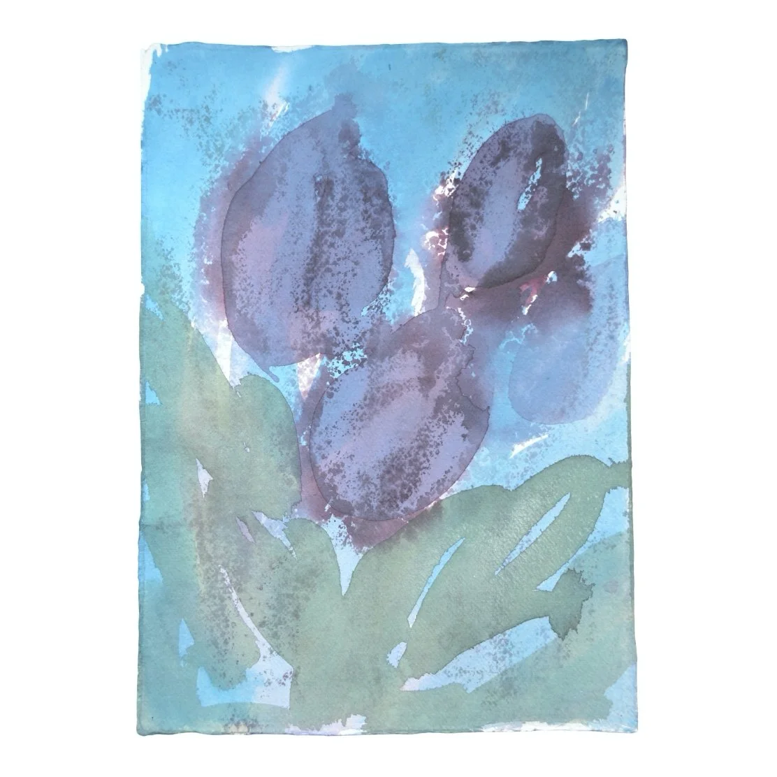 Tulips 2 borders.jpg