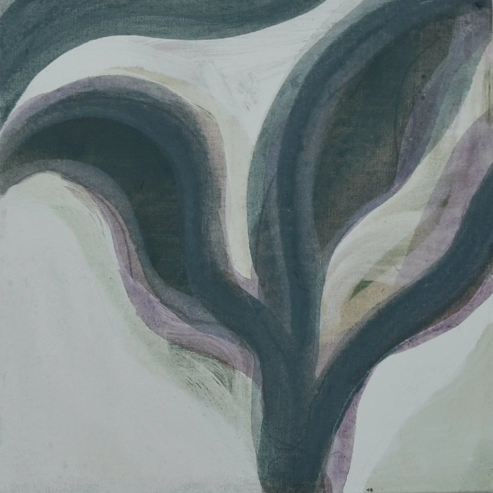 Flower study 2 copy.jpg