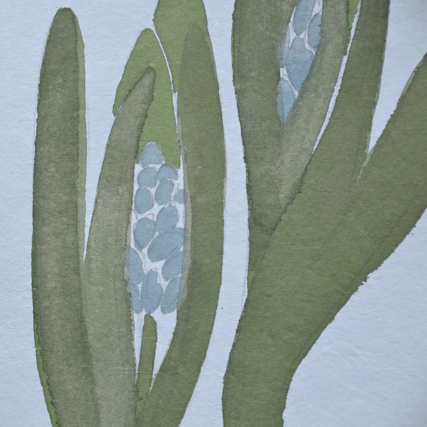 Hyacinths 2 detail.JPG