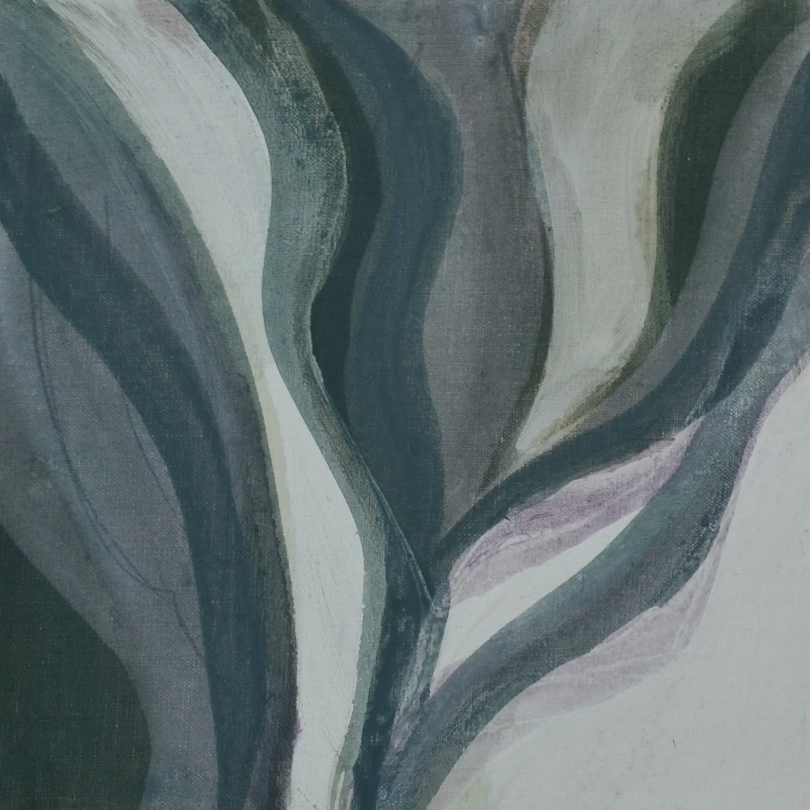 Flower study 1 copy.jpg