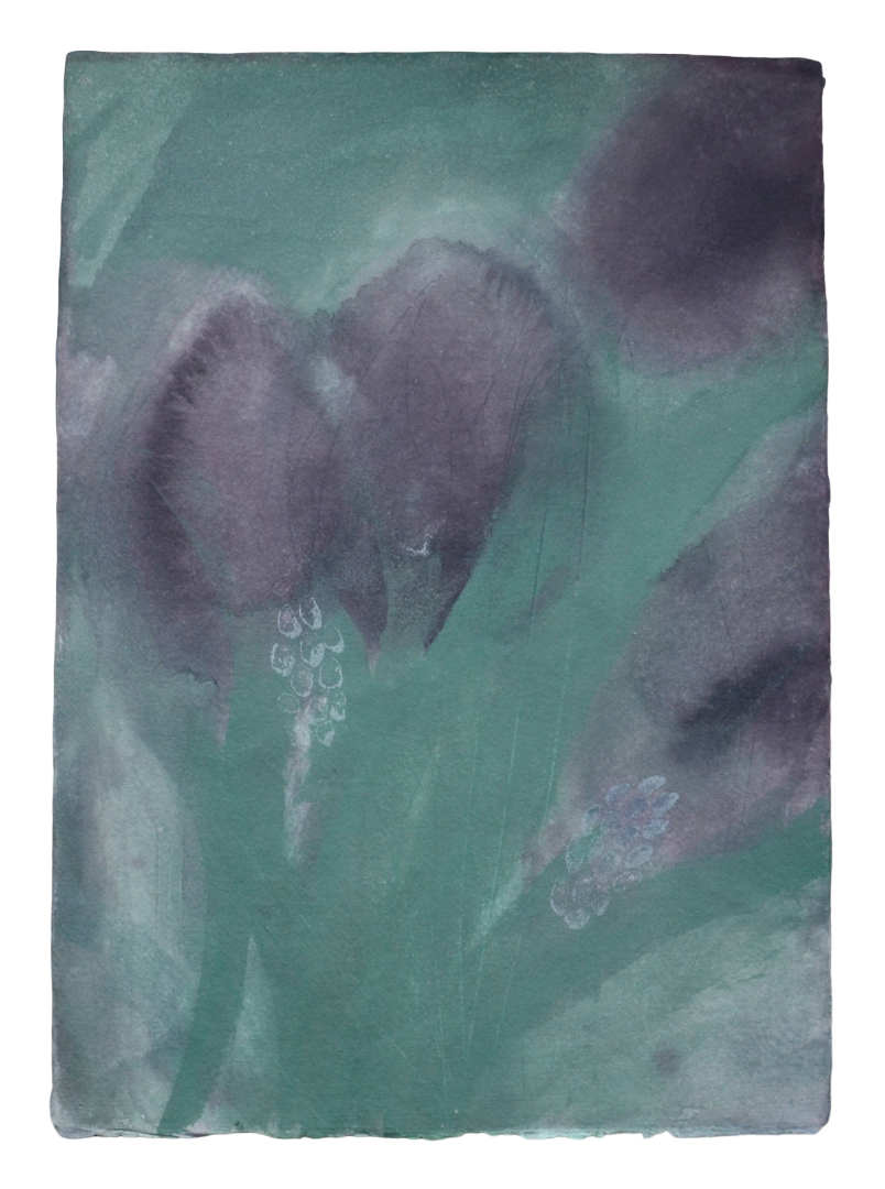 Tulips & Hyacinths 1.png