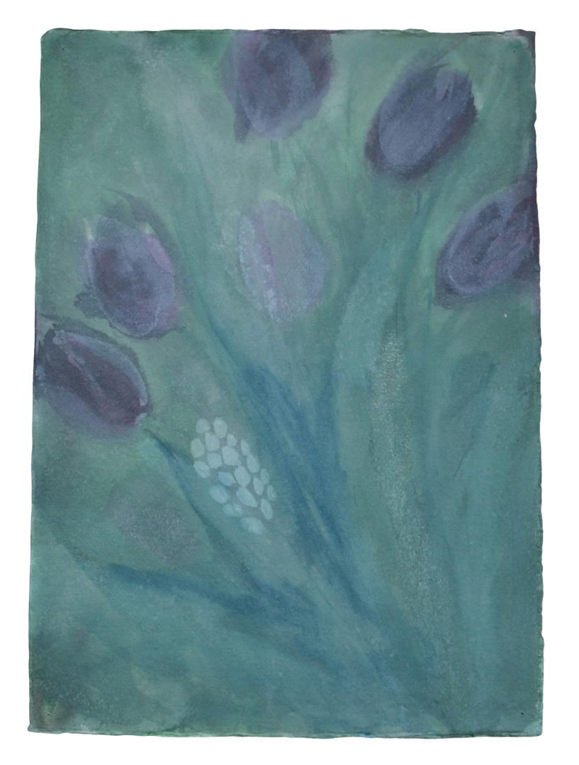 Tulips & hyacinths 3.png