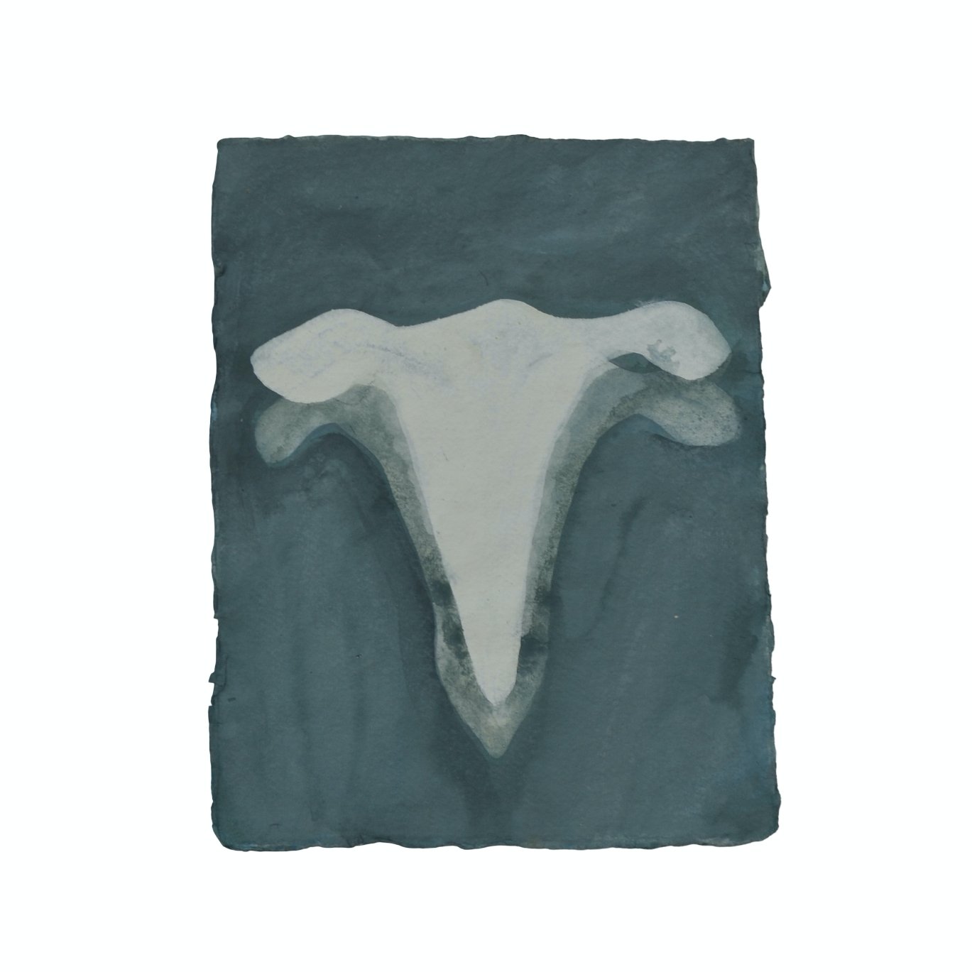 Bindweed border white.jpg