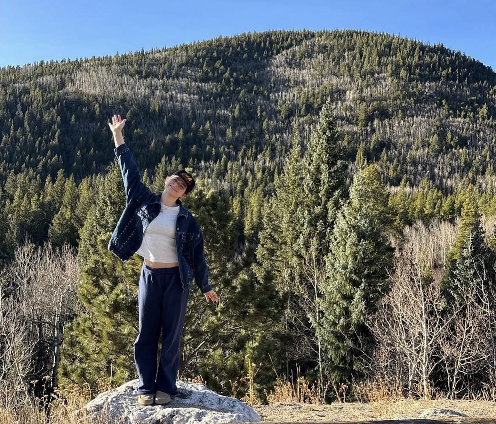 Screenshot 2026-02-20 at 3.30.07 PM.png