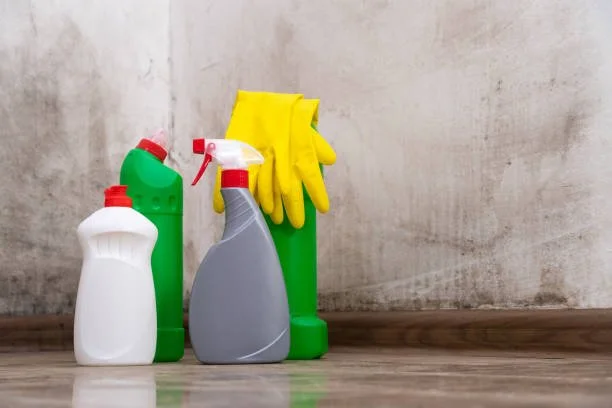 Tips for holiday season quick clean. Clear the clutter and get the stink out!