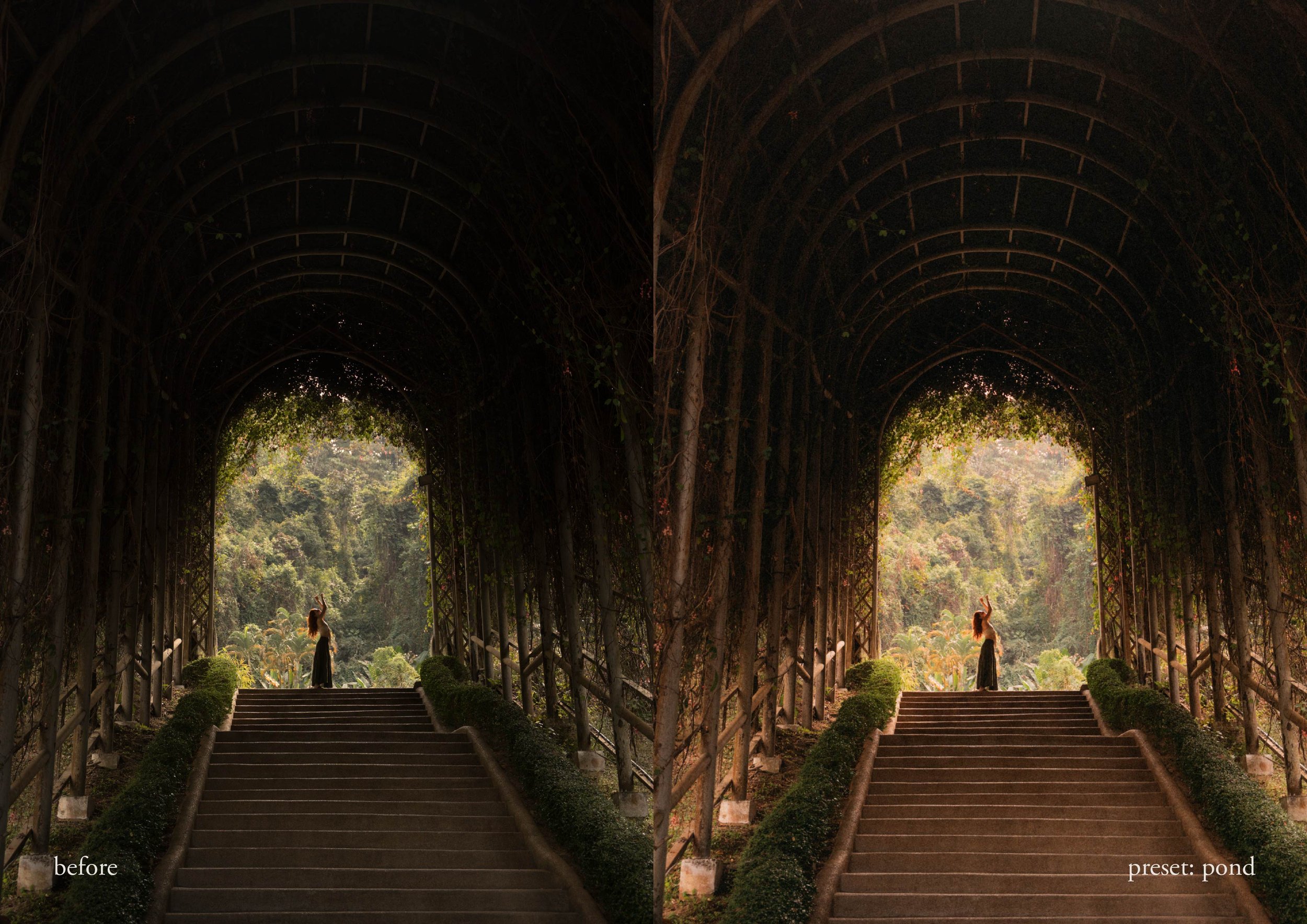 Forest-presets-lightroom-earthyvas 6.jpg