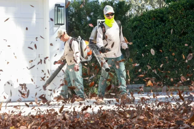 Bag It, Don't Blow It: Yard Debris in the Street is Illegal