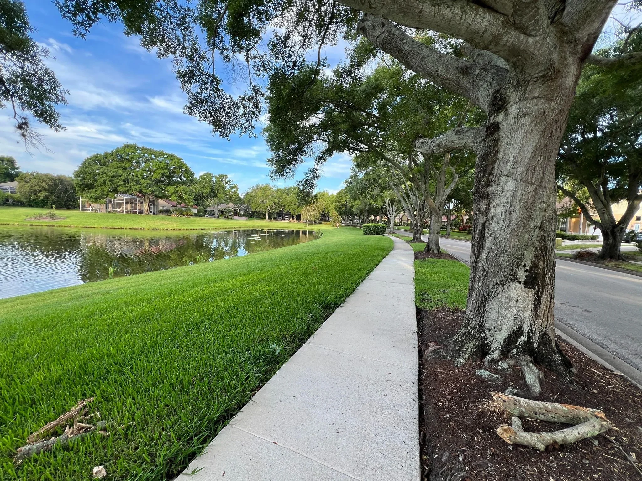 July Community Inspections Focus on Landscaping and Curb Appeal
