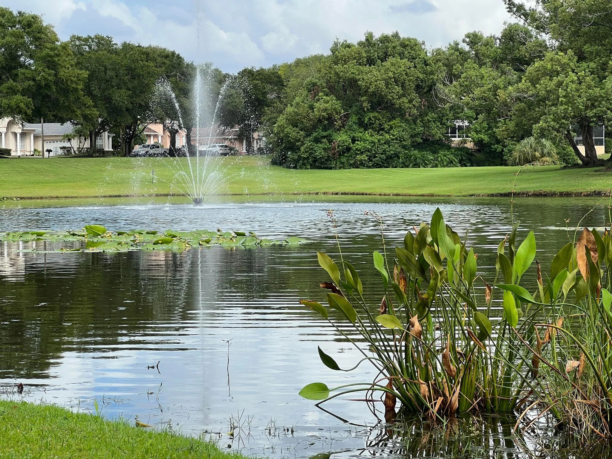 Board Approves Amended Rules on Landscaping, Yard Signs, and Flags
