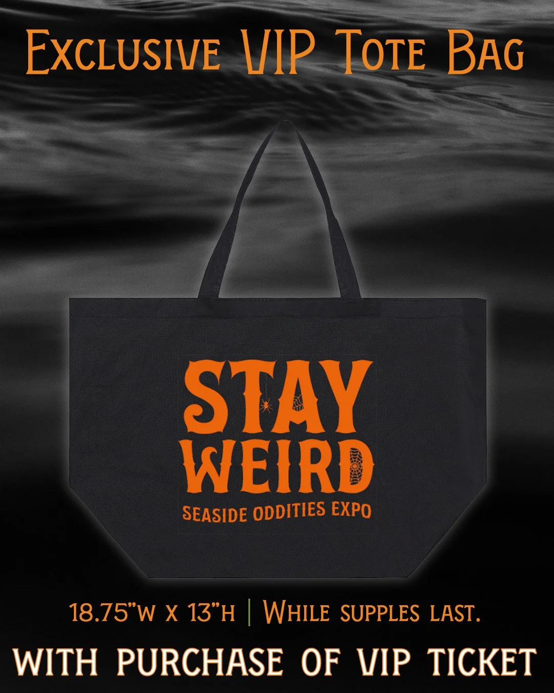 25_Oddities_TicketsOnSale_VIPBag_Portrait_06.jpg