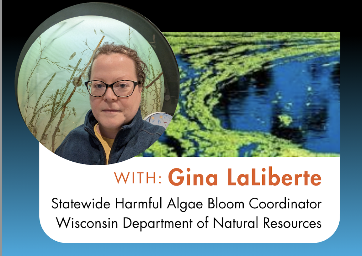 Harmful Cyanobacteria (Blue-green Algae) Blooms in Wisconsin