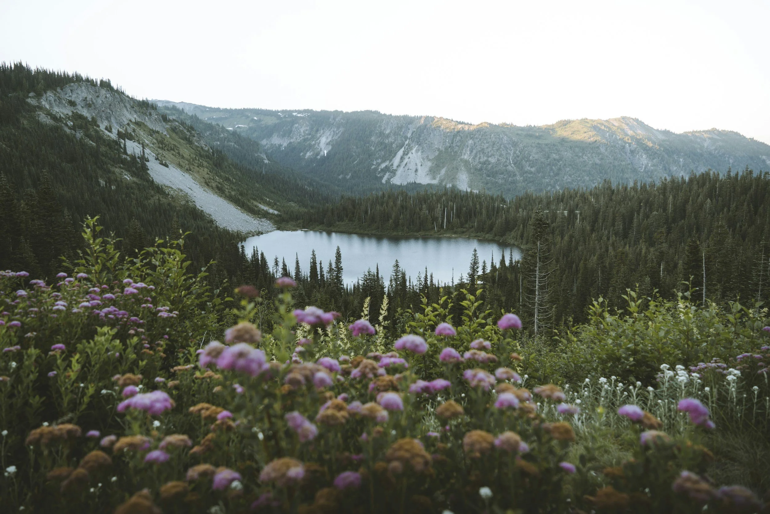 A mountain landscape with a forest surrounding a lake, pink flowers in the foreground, and mountains in the background under a bright sky.