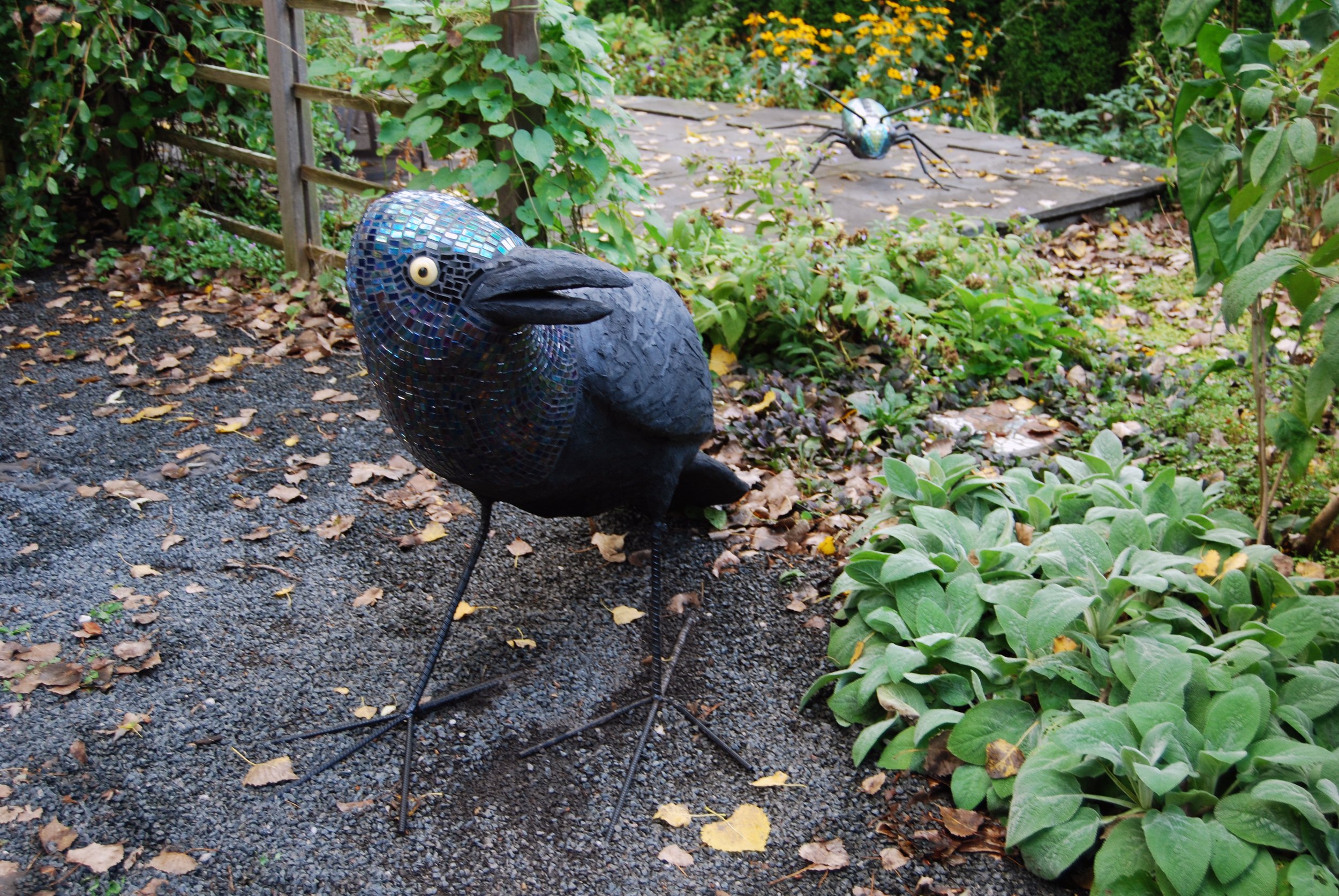 Grackle+and+Beetle+in+garden.jpg