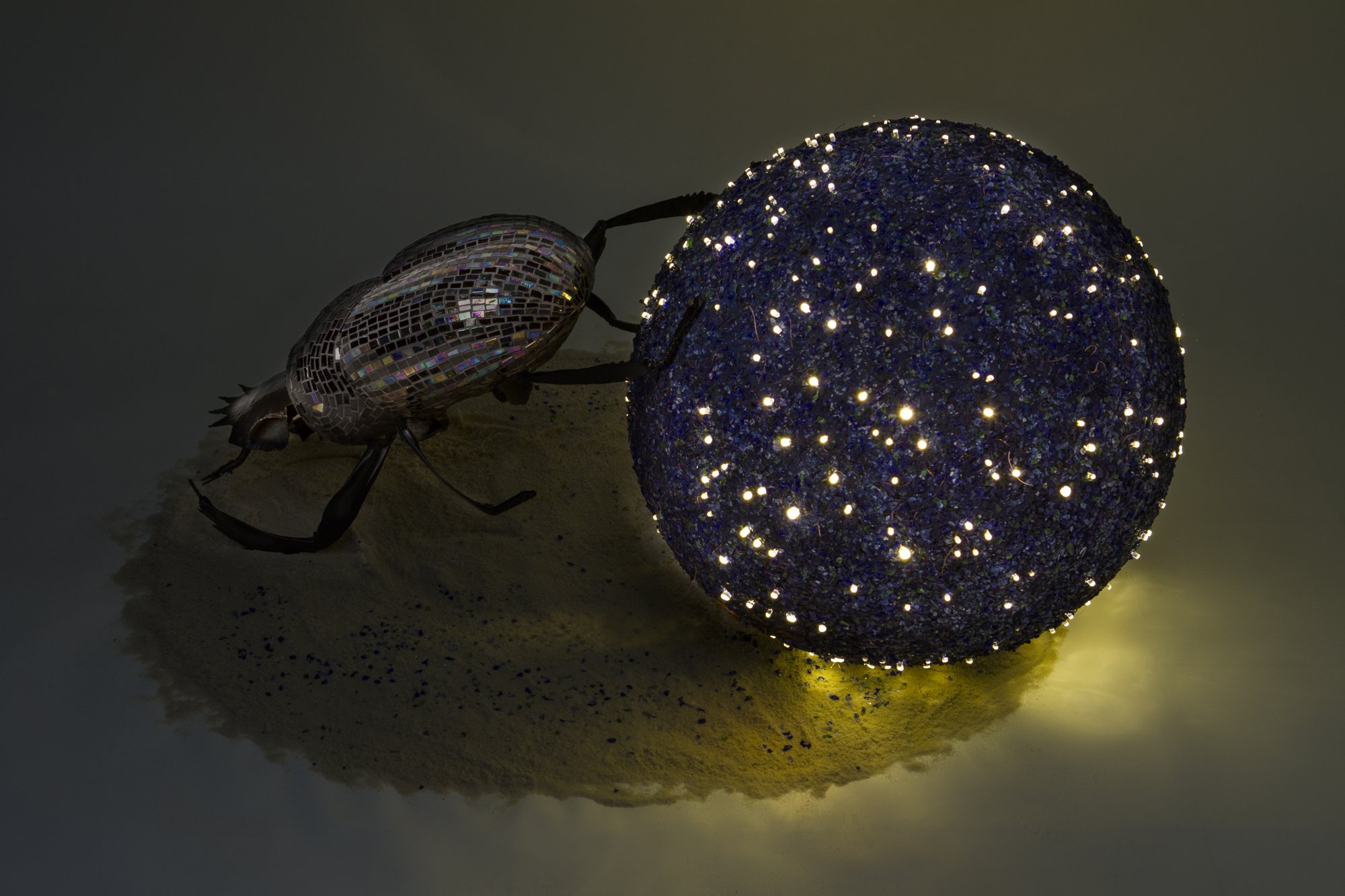Dung+Beetle+Navigates+by+the+Stars-2.jpg
