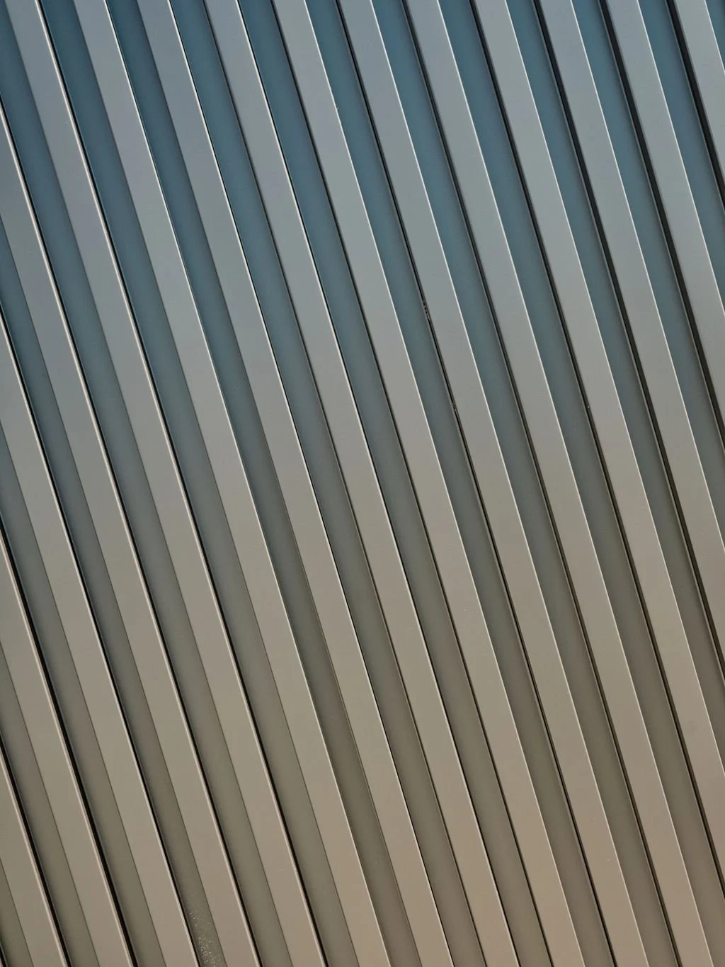 DSCF6369.jpg