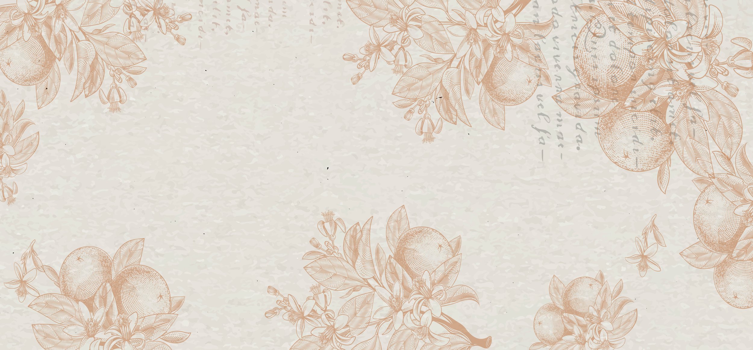 24_TPHP_Email Template_SH_BG.jpg