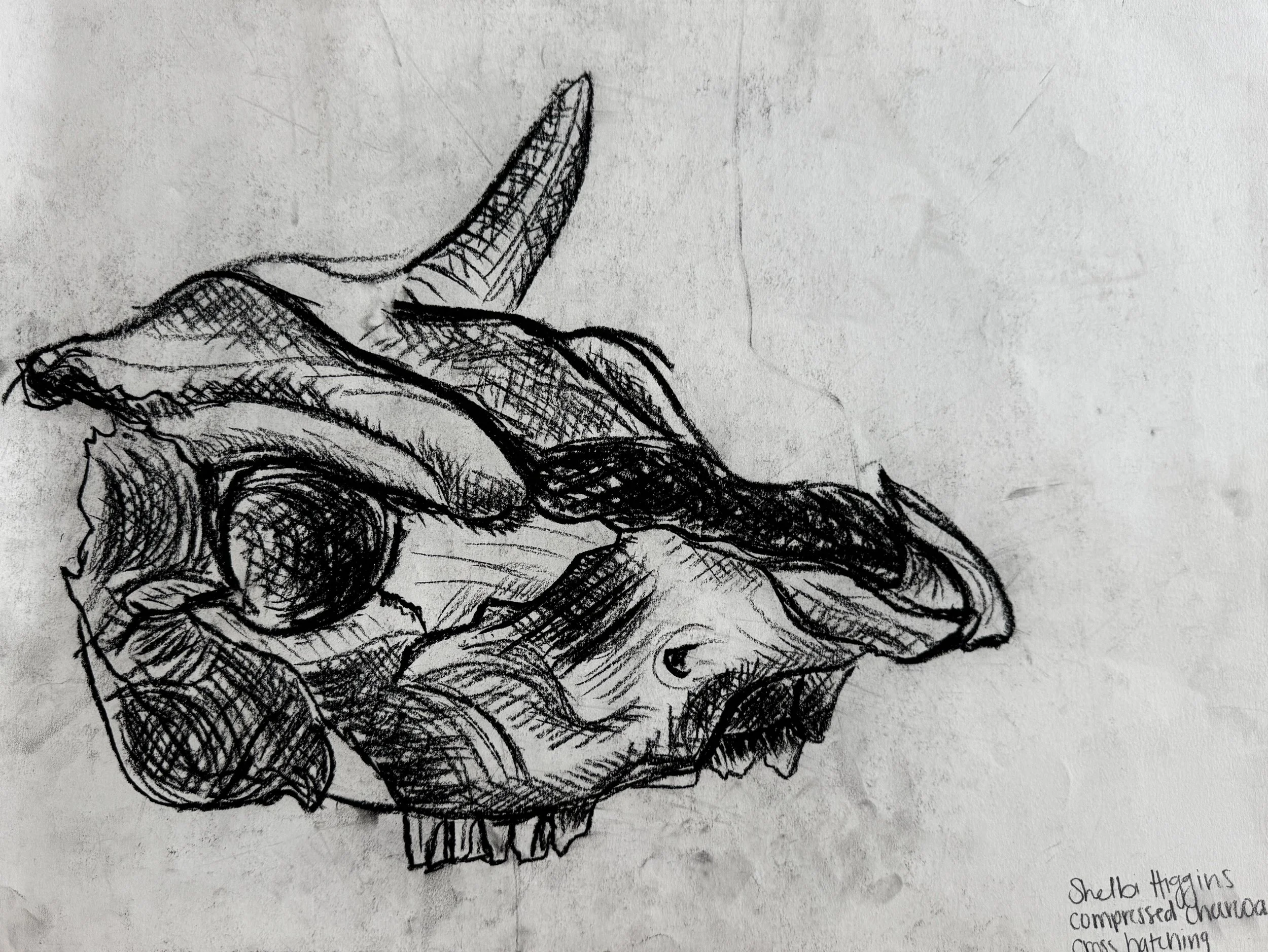 "Untitled," Compressed charcoal on paper, 18 x 24 in., 2018.