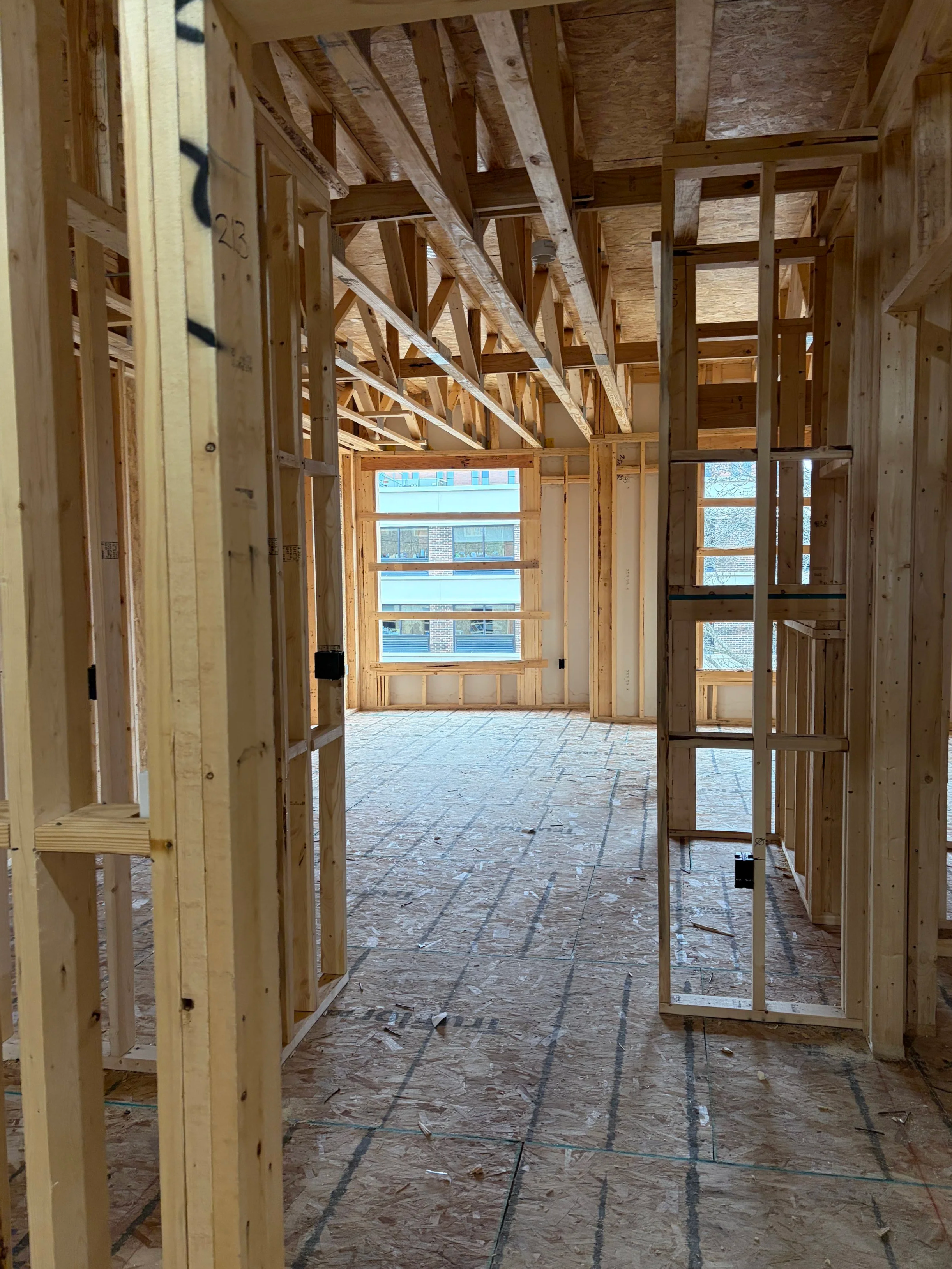 03.31.2026 - Interior framing at Luna (B1.)