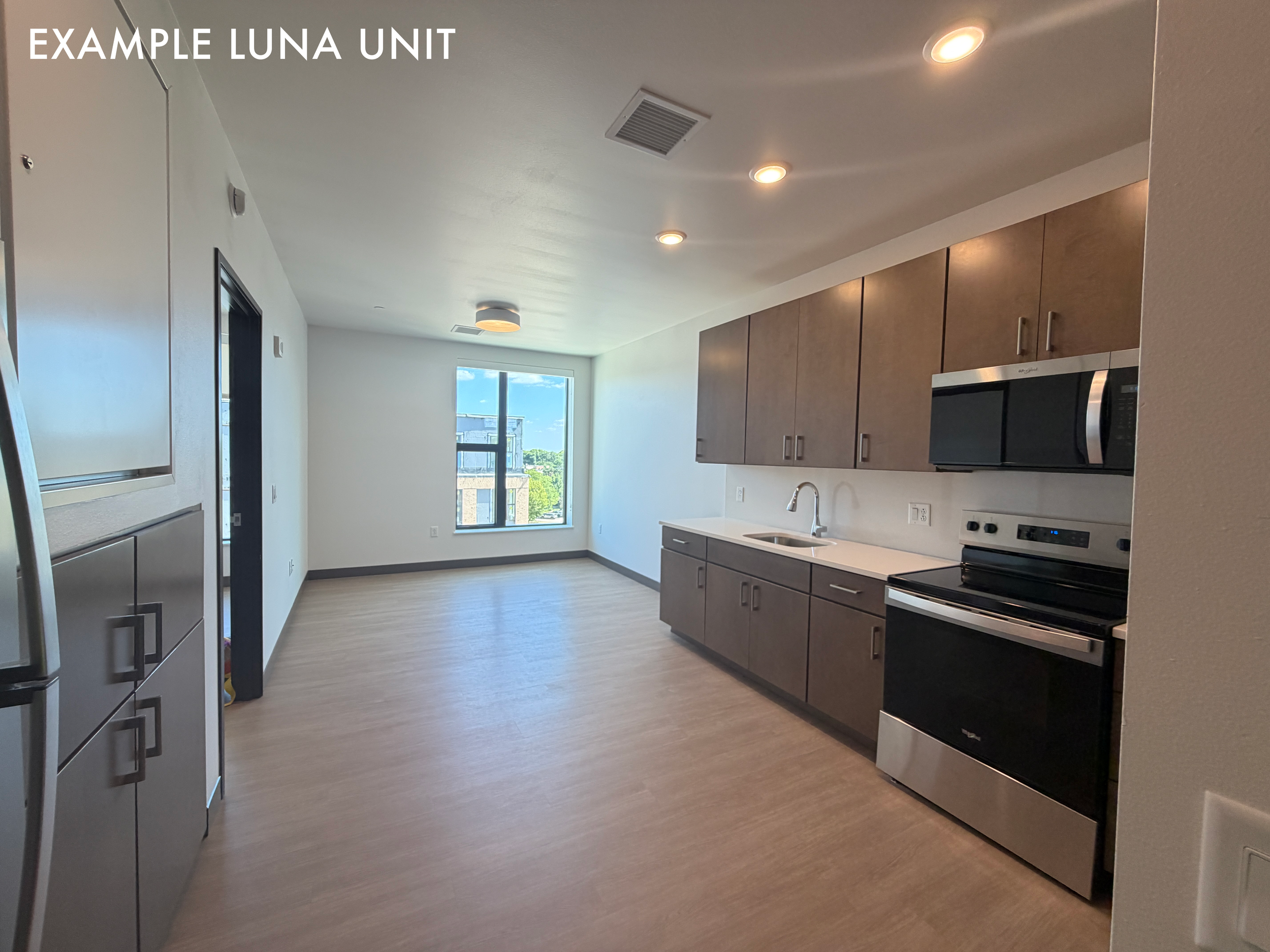 Example Luna unit, kitchen and living room view.