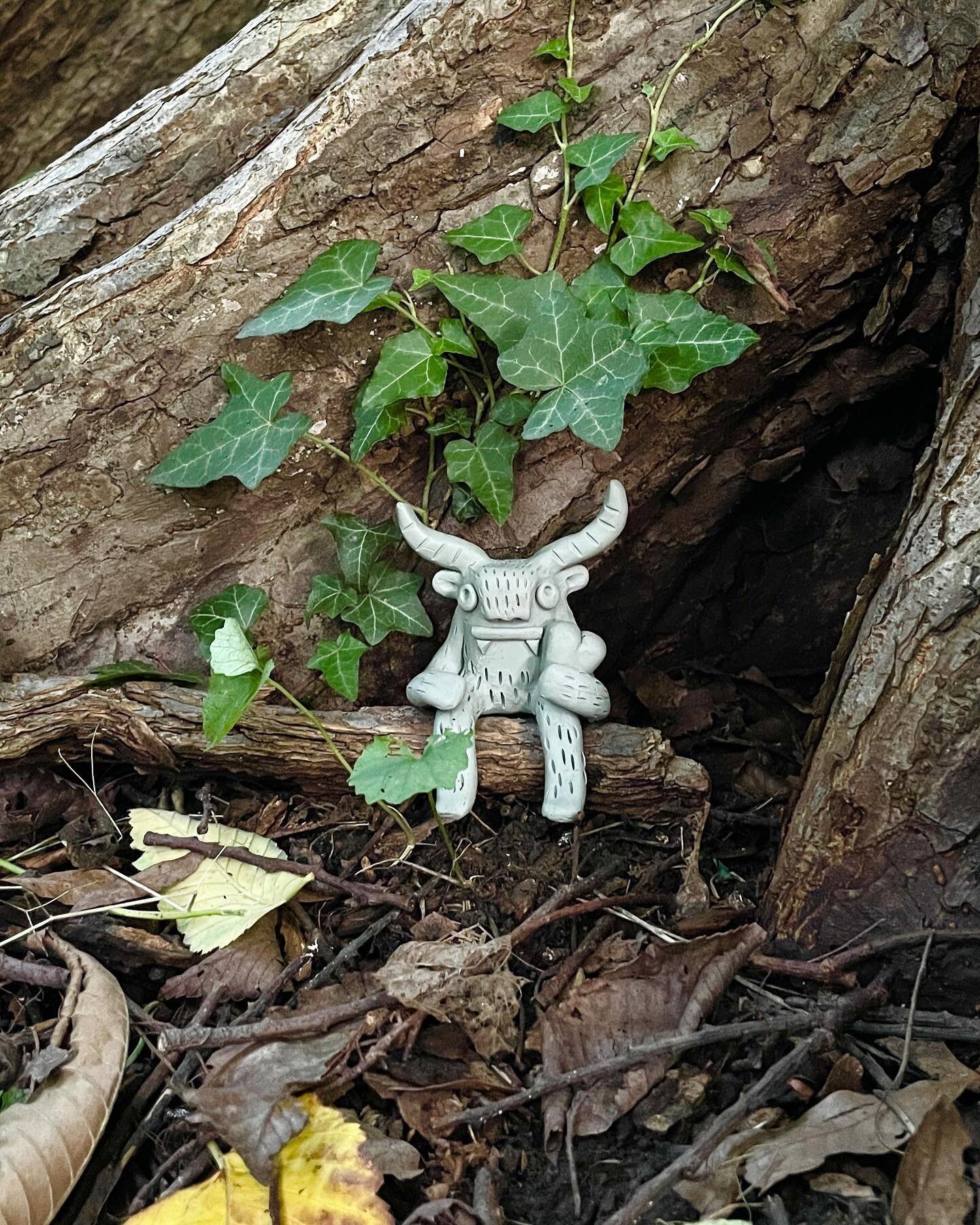 lg no. 101 moved in to a very cool tree at @awburyarboretum last night. head to stories for clues on where you might find him 🧐