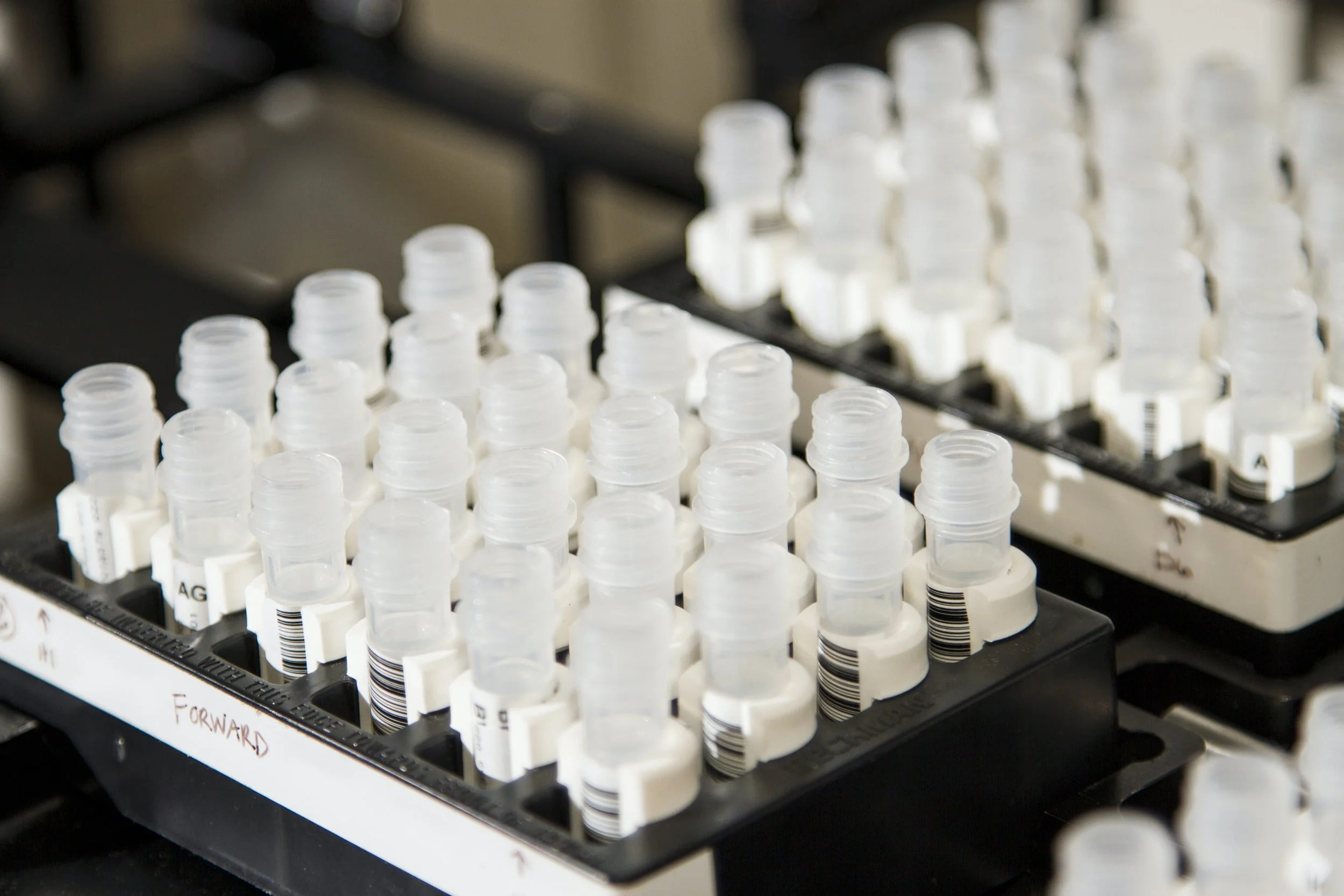 Test tube viles organized in a bin.