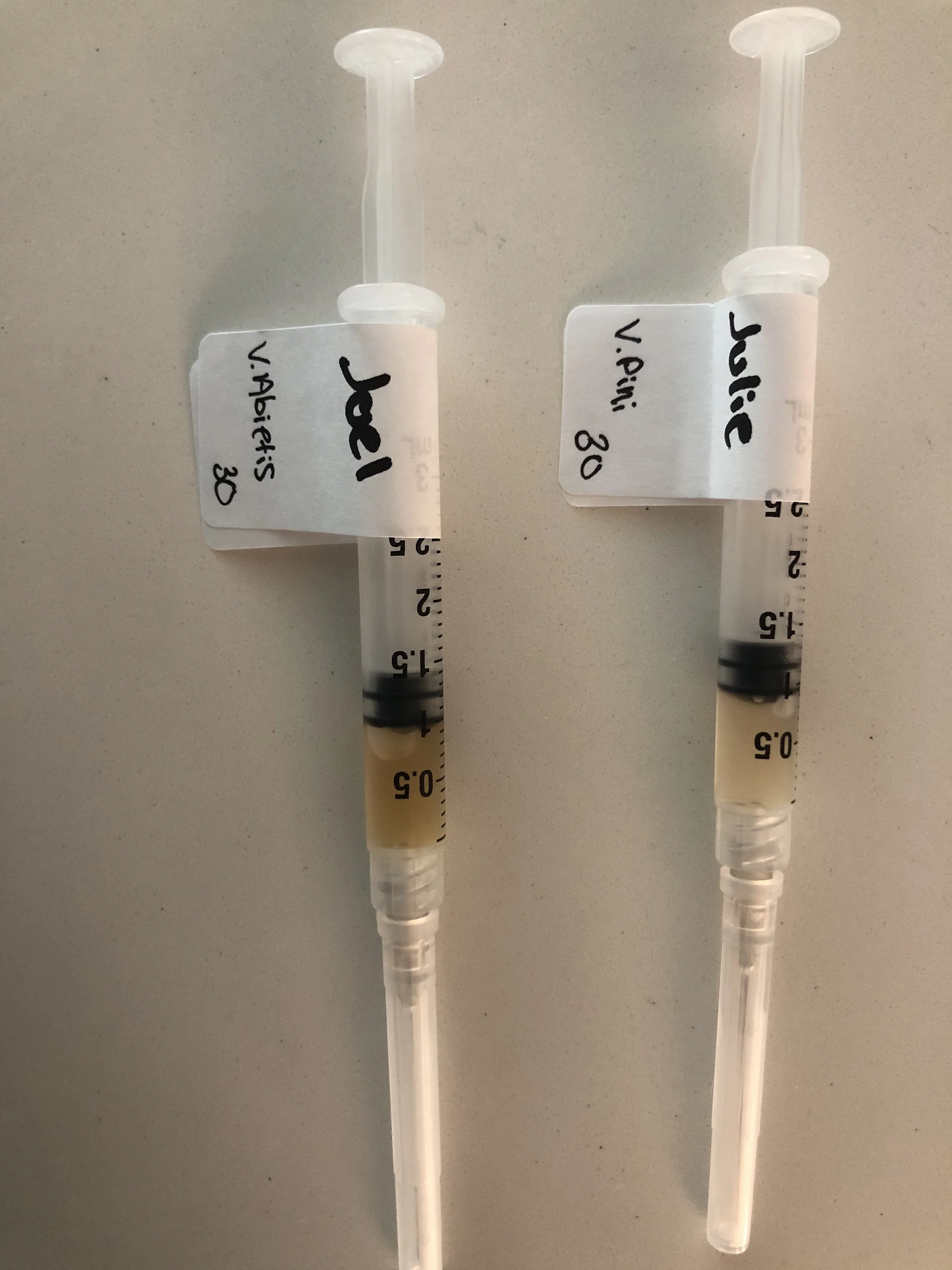 Two mistletoe syringes pictured side by side with labels that say "Julie" and "Joel."
