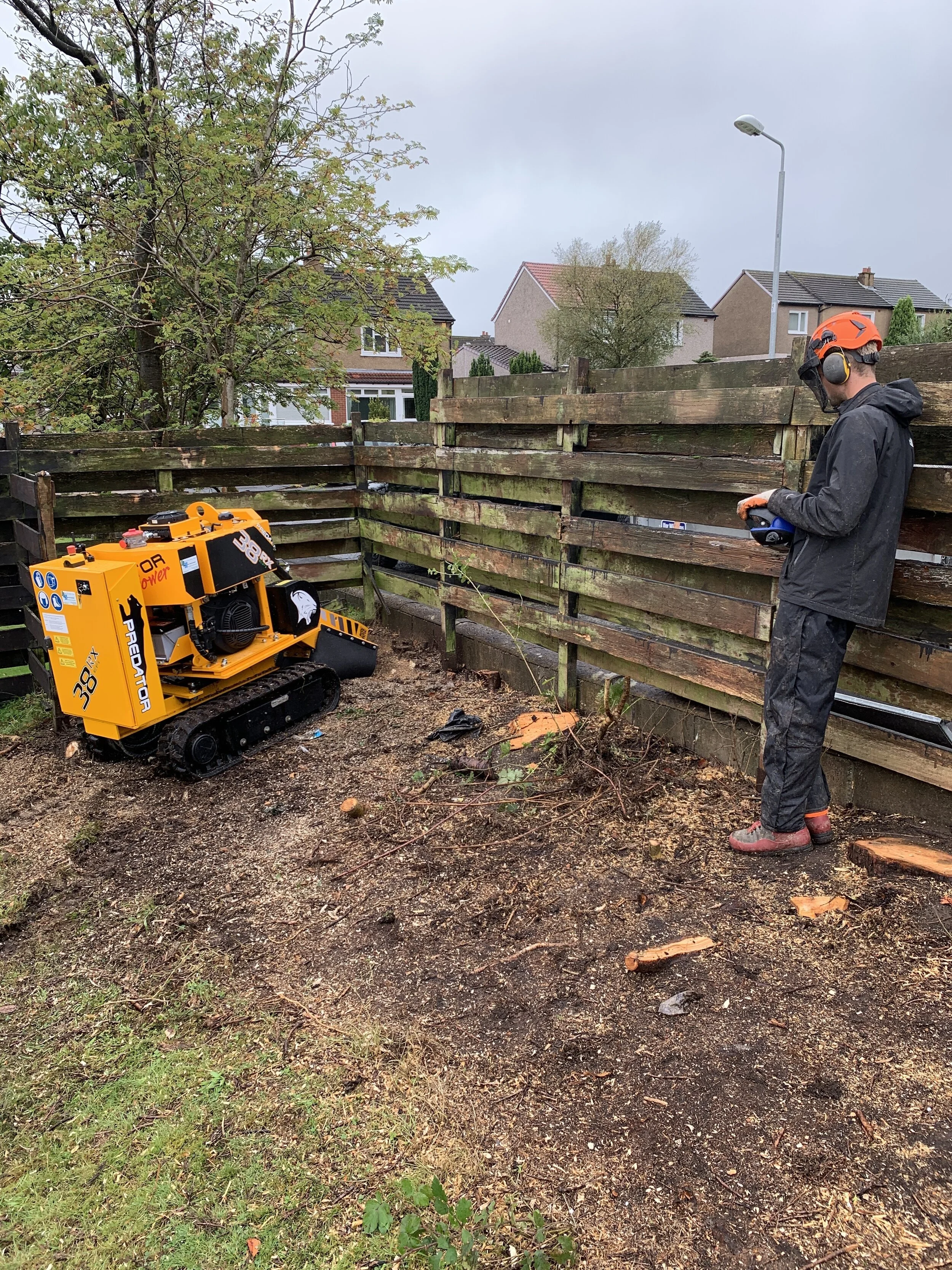 Top tips to remove tree stumps in Glasgow