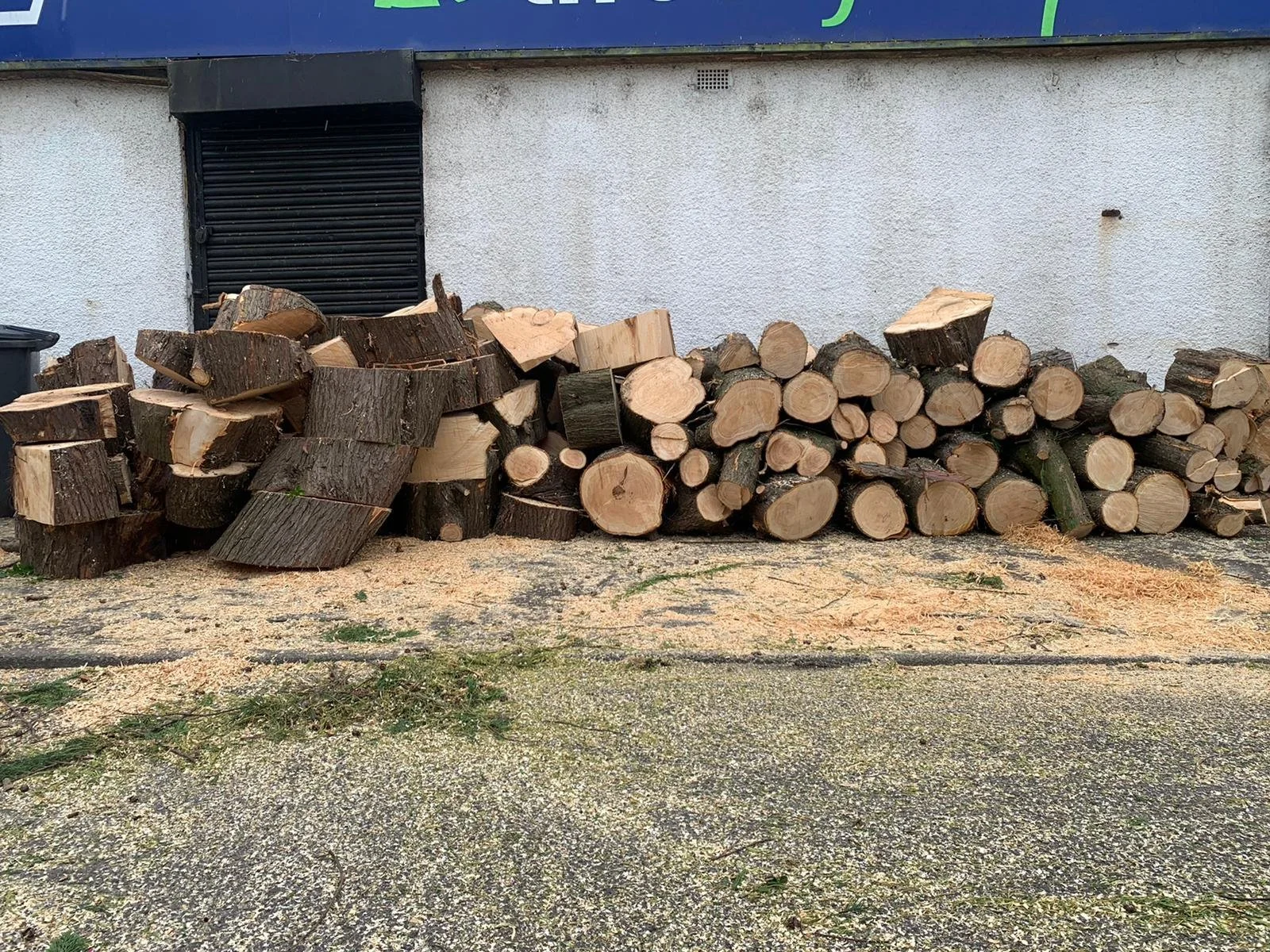 Should I hire professional tree service or do it myself?