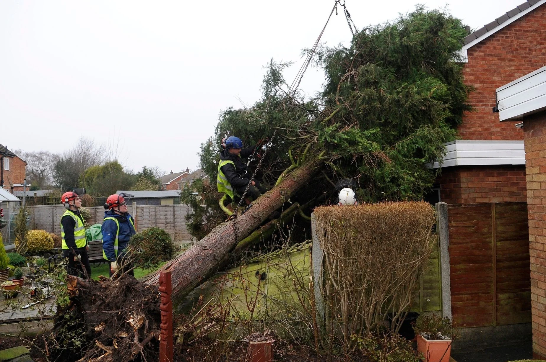 Tree Emergencies and Management of Trees Through Storms