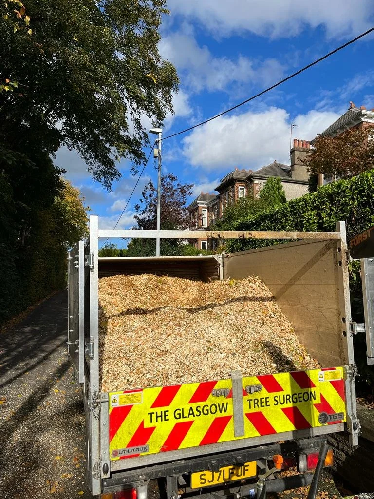 Waste From Tree Surgery And Its Application As Biomass Fuel