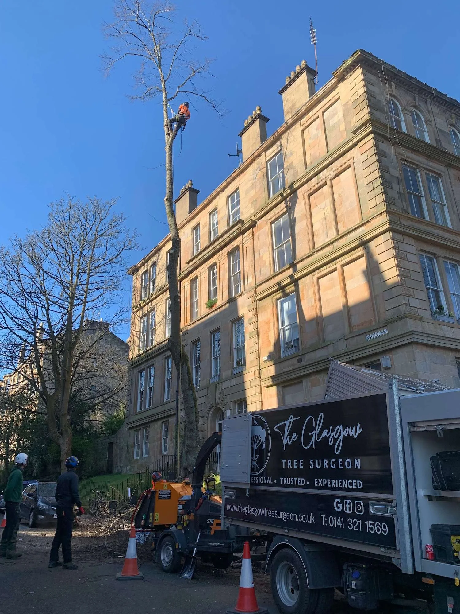 Full Consultancy Service - Glasgow Tree Surgeons